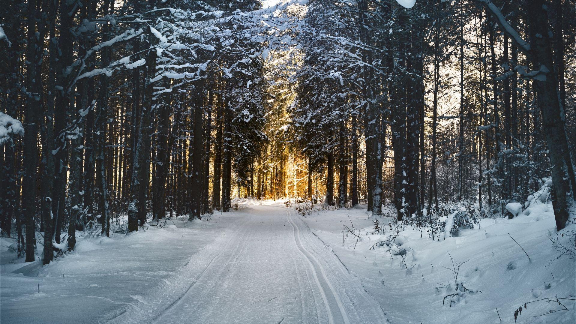 1920x1080 Collection Winter Background