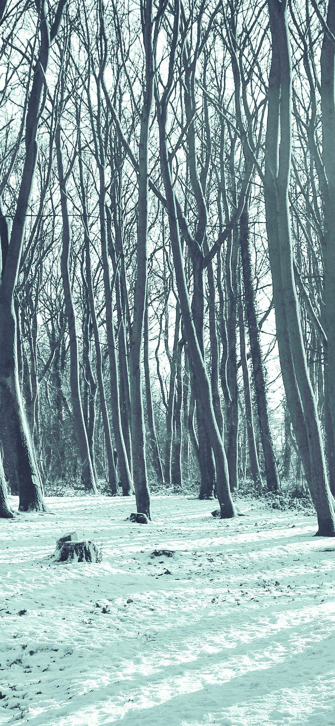 1125x2436 Cold Winter Forest Snow Nature Mountain Blue Wallpaper