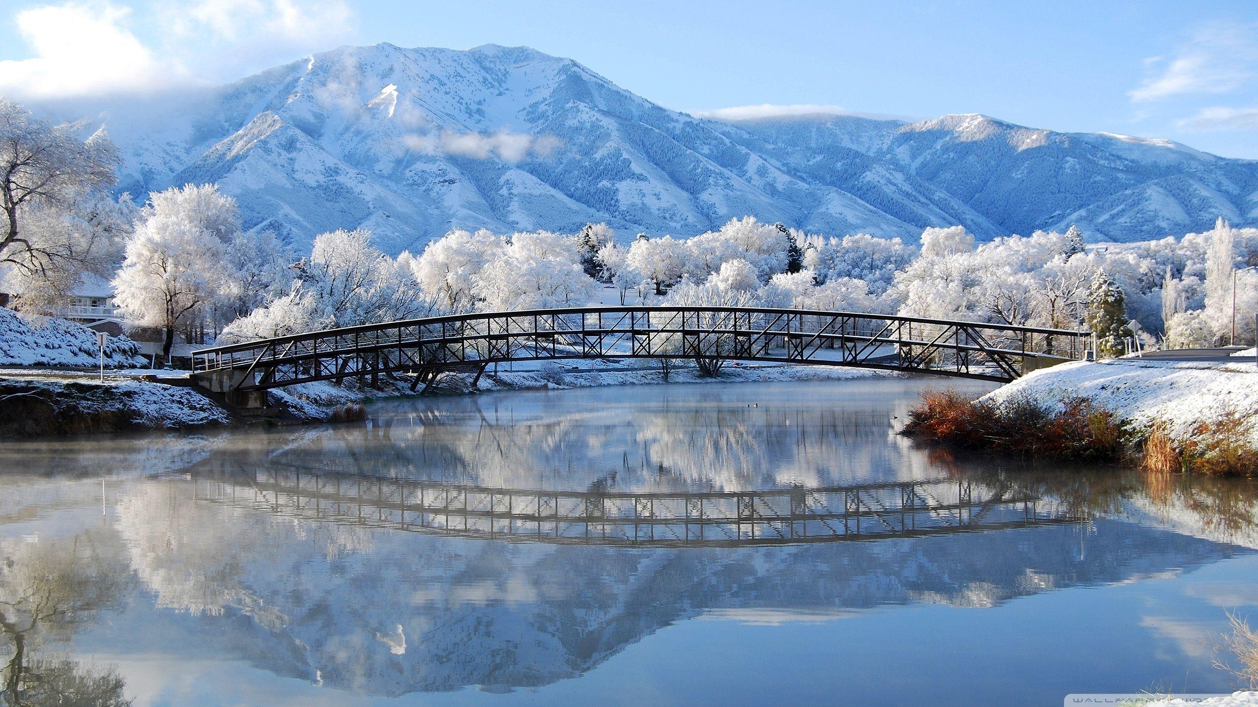 2560x1440 Beautiful Winter Scene Ultra HD Desktop Background Wallpaper