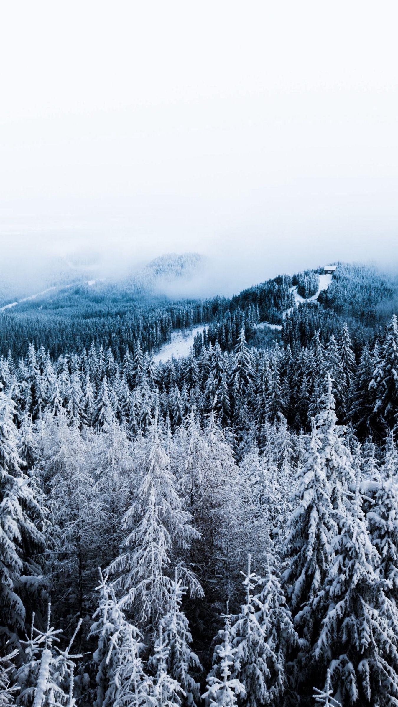 1350x2400 Download wallpaper 1350x2400 winter, trees, fog, snow, aerial view