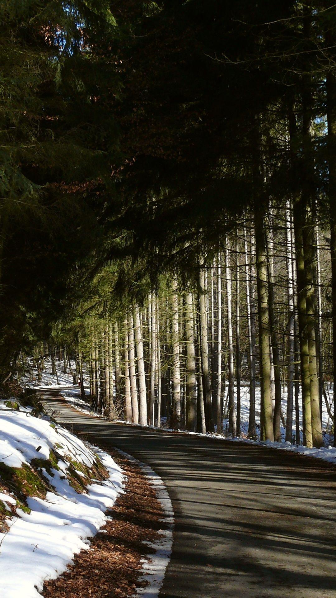 1080x1920 Photos Nature Spruce Winter Snow Roads forest Trees 1080x1920