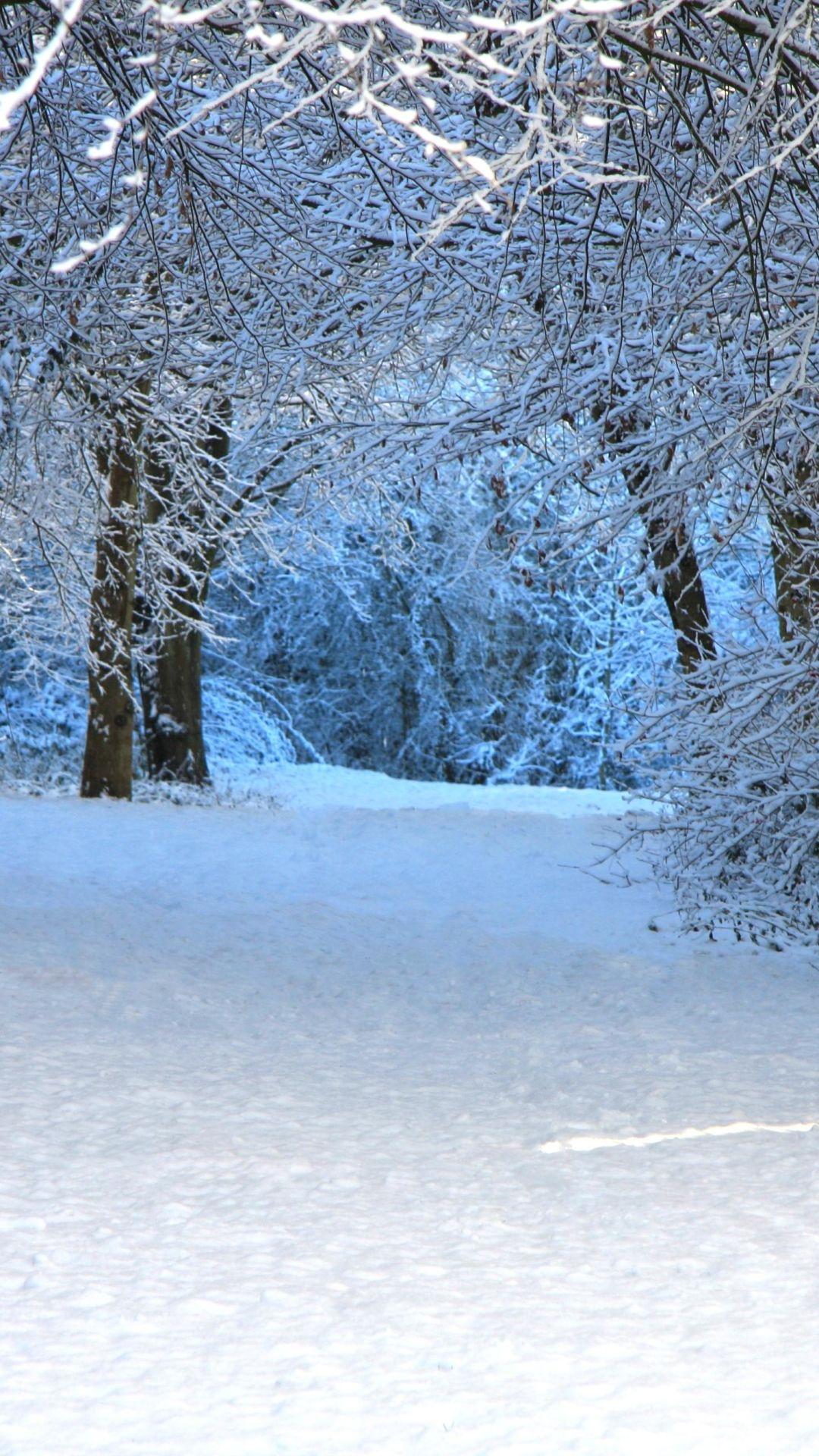 1080x1920 Earth Winter (1080x1920) Wallpaper