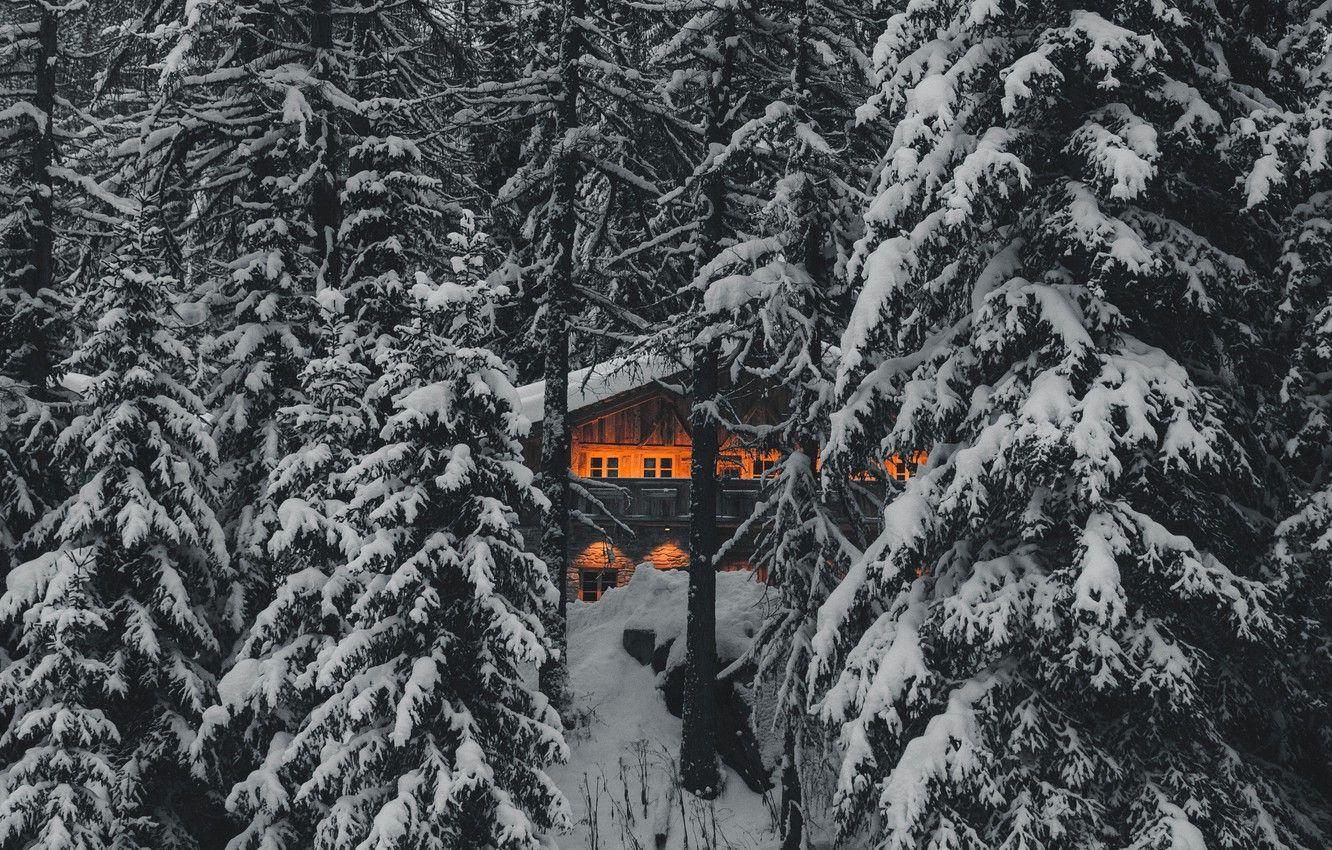 1332x850 Wallpaper snow, forest, house, cabin, cabin in the woods, building