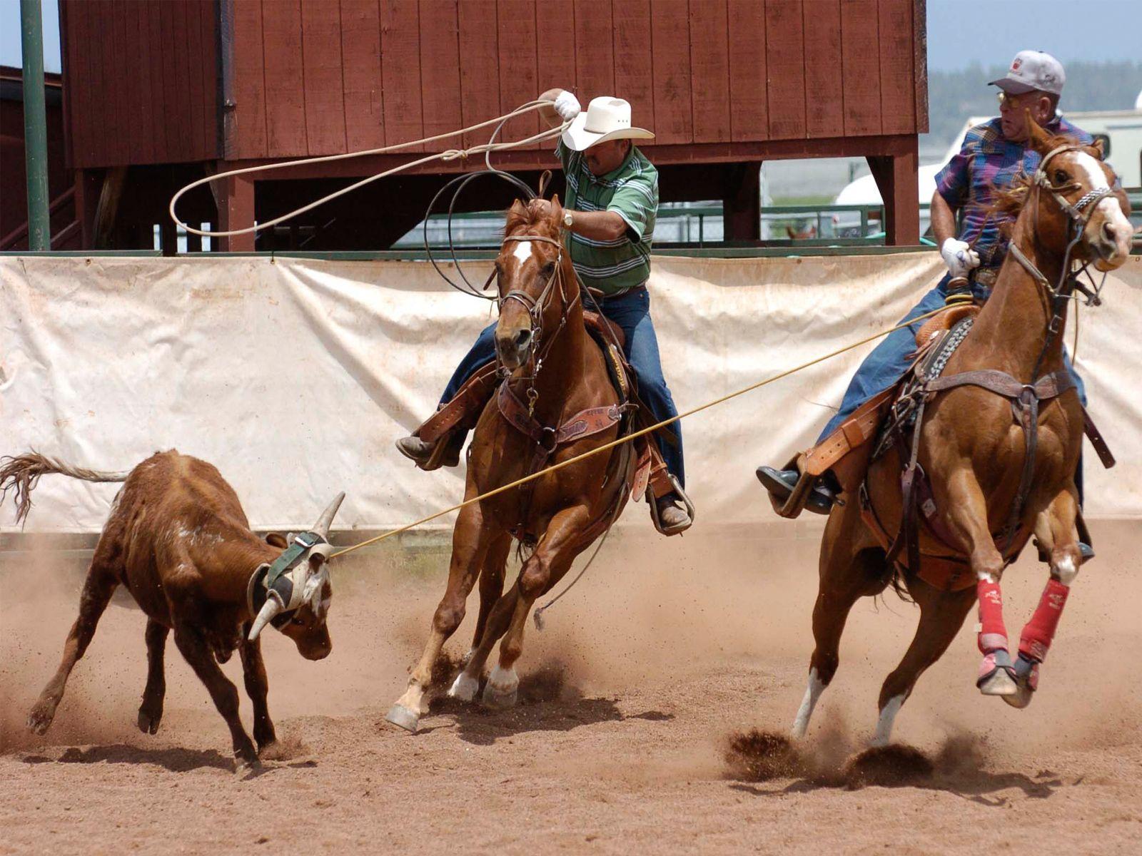 1600x1200 Cowboy Desktop Wallpaper 1600x1200 (281.86 KB)