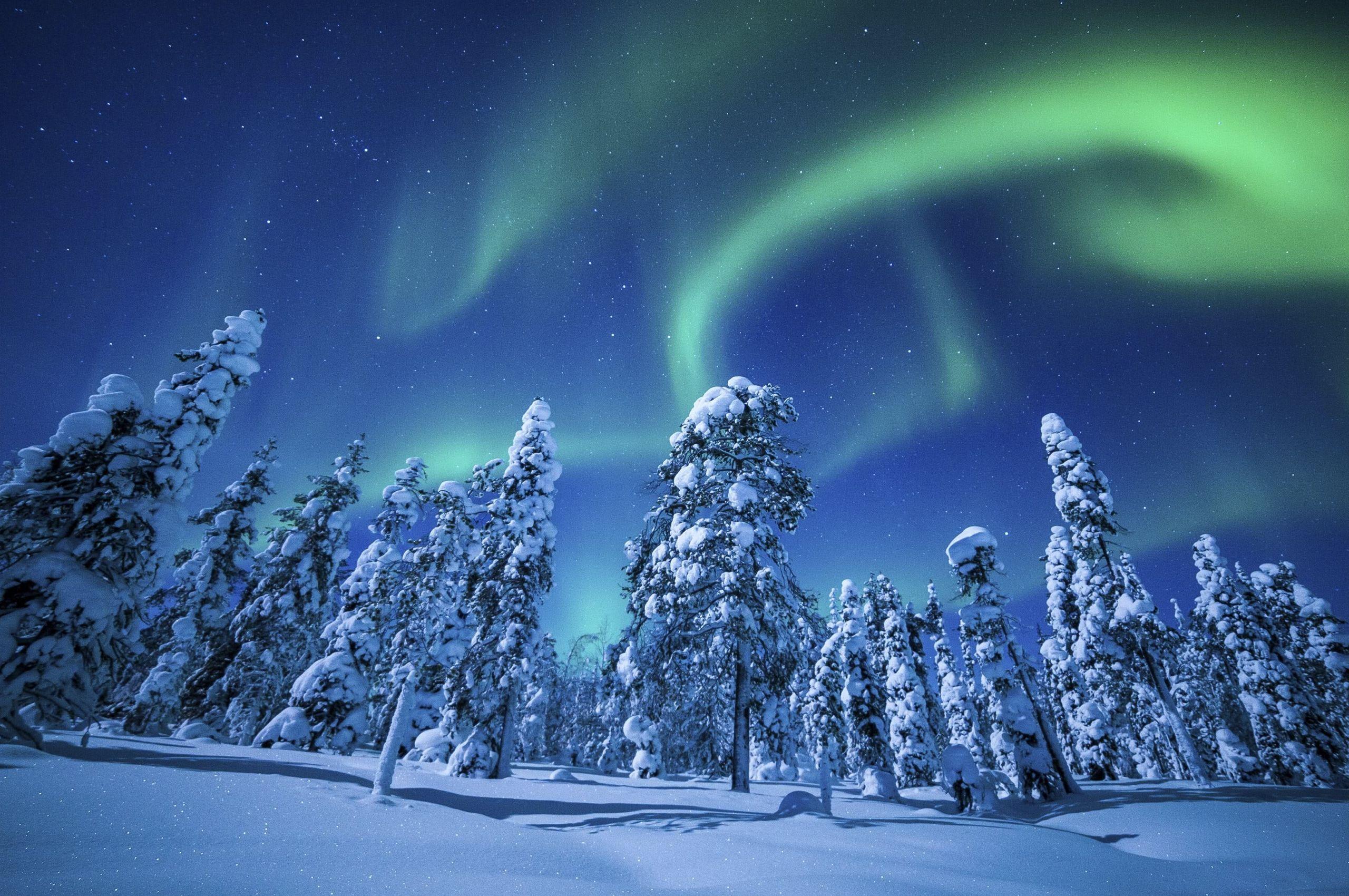 2560x1700 Free download Northern Lights Aurora Borealis Over Winter Forest