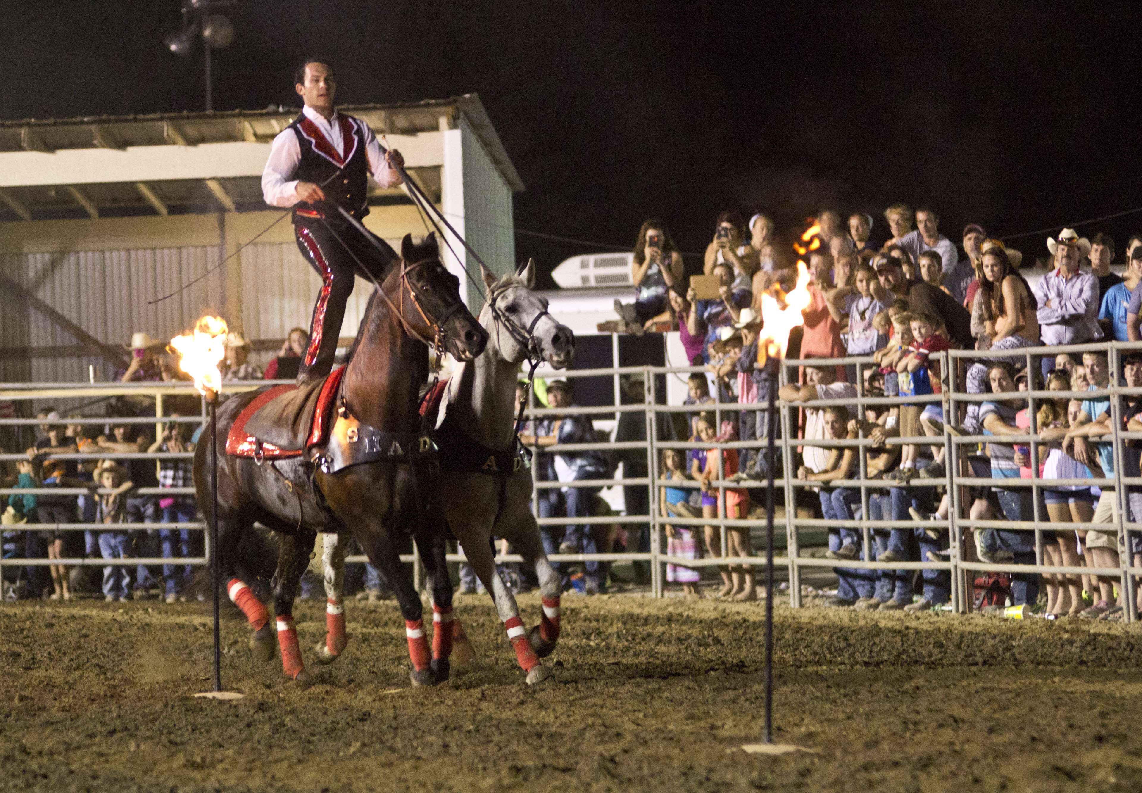 3840x2669 equine, fire, horses, night time, performer, rodeo, roman rider