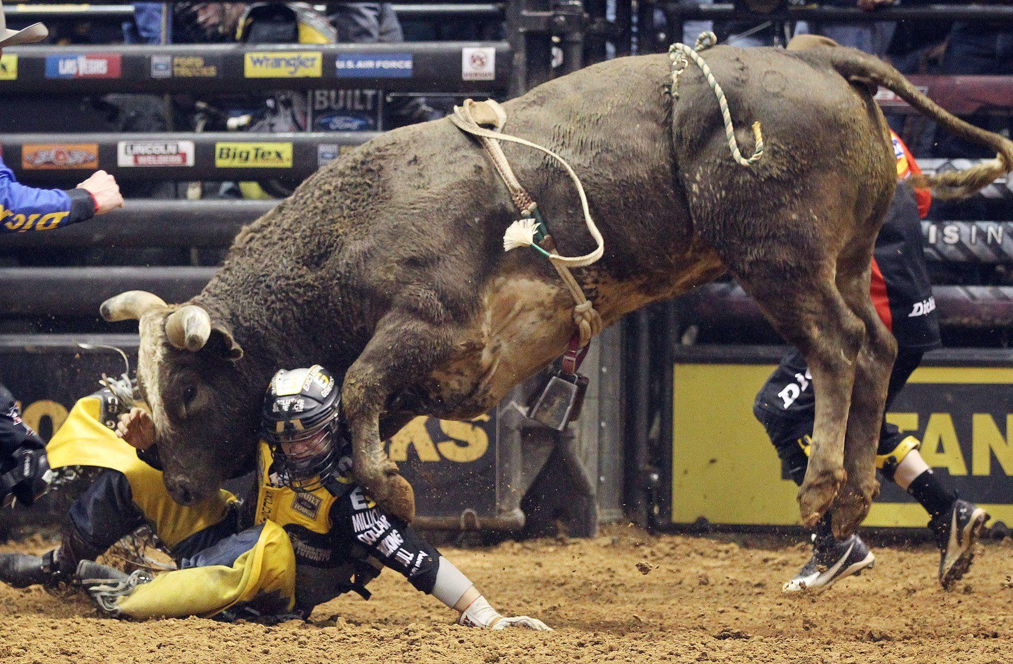 2000x1311 Pbr rodeo wallpaper border
