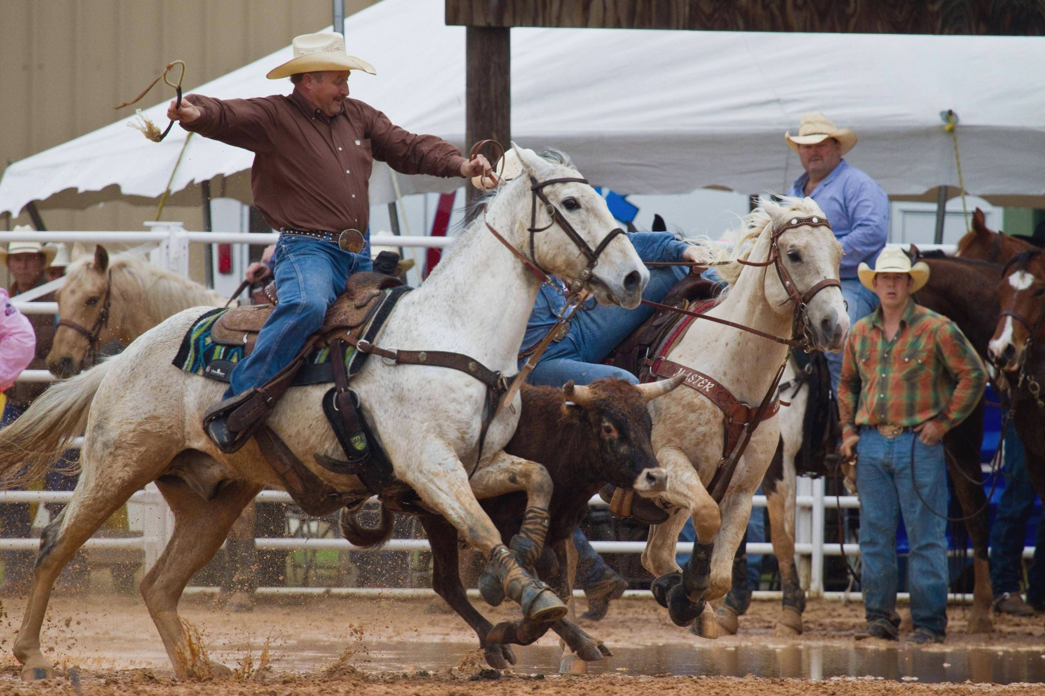 4453x2968 Rodeo Wallpaper HD Download