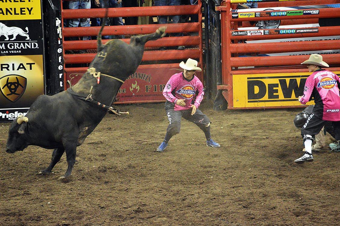 Bullfighter Shines In Job Protecting Cowboys