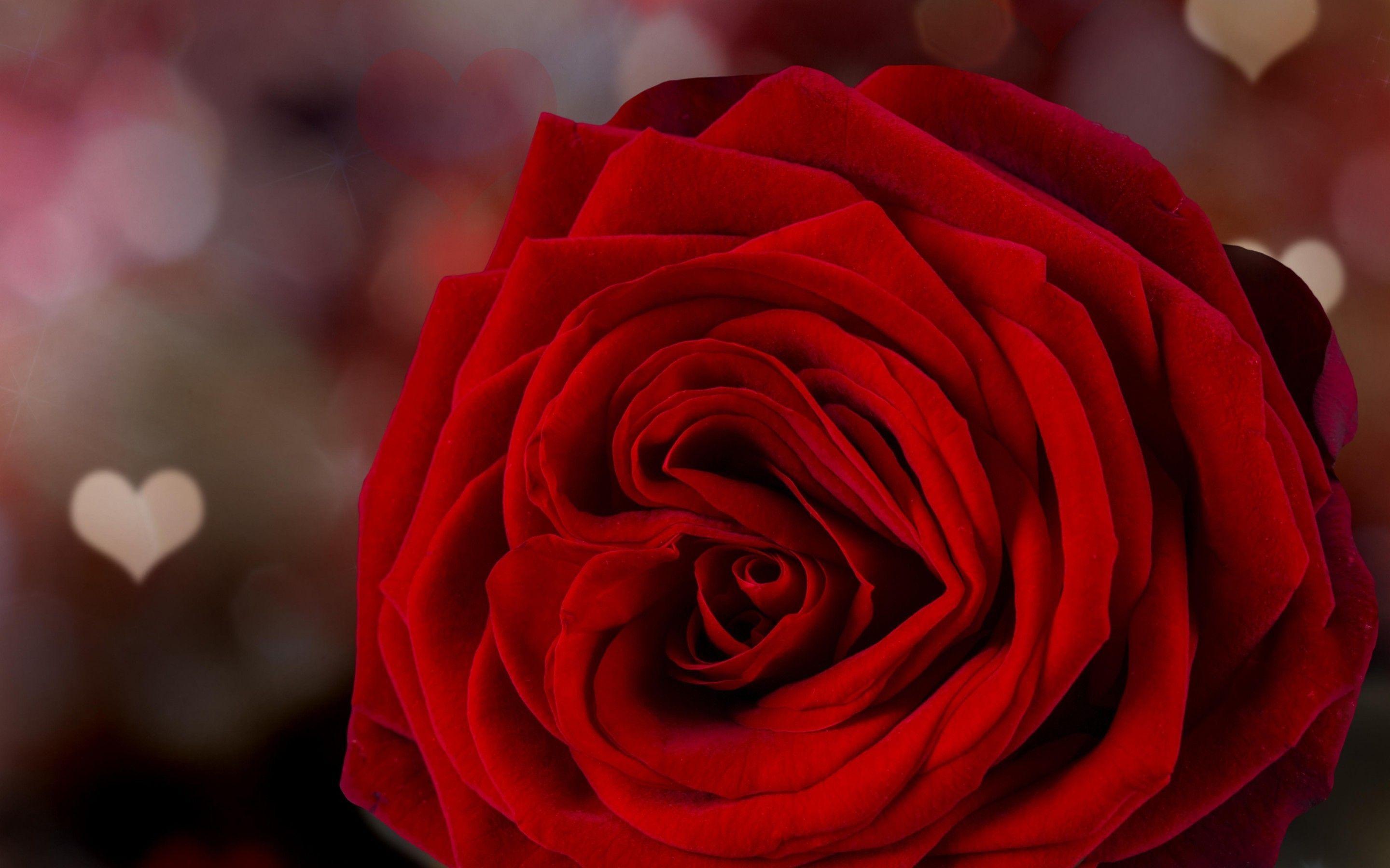 2880x1800 Valentine's day wallpaper
