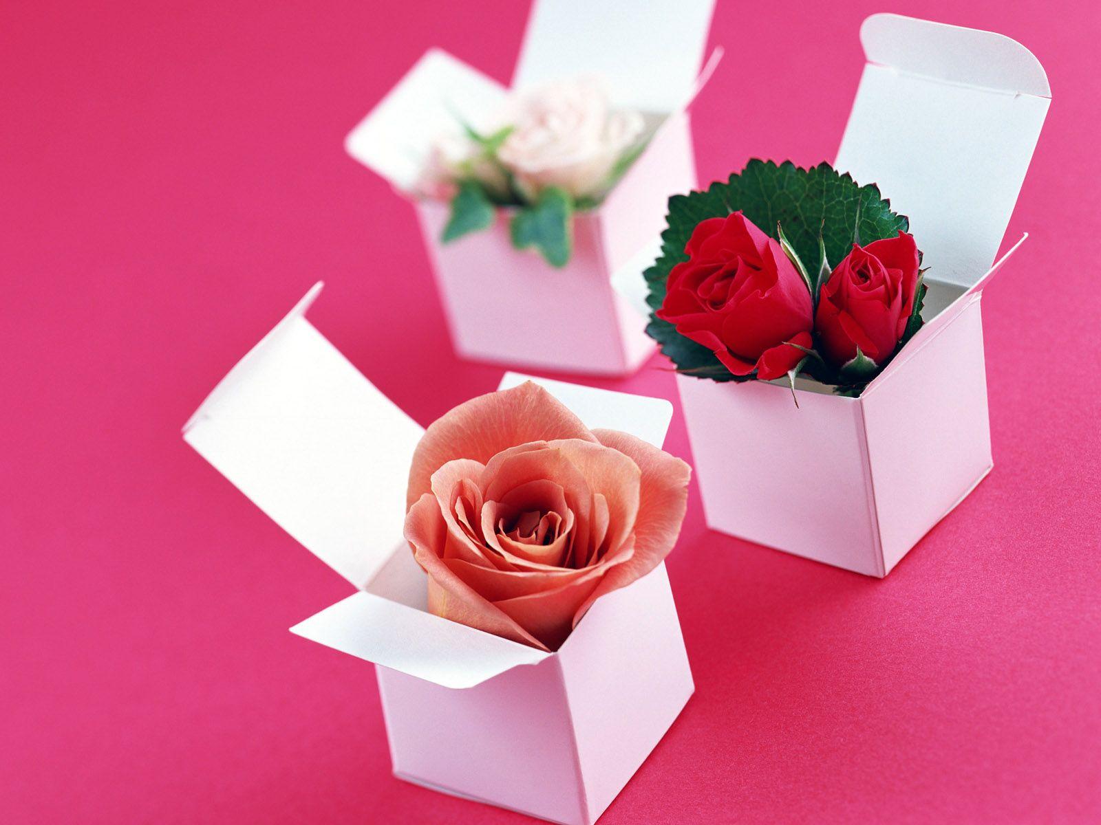 1600x1200 hd valentines day flower delivery wallpaper, HD valentines day