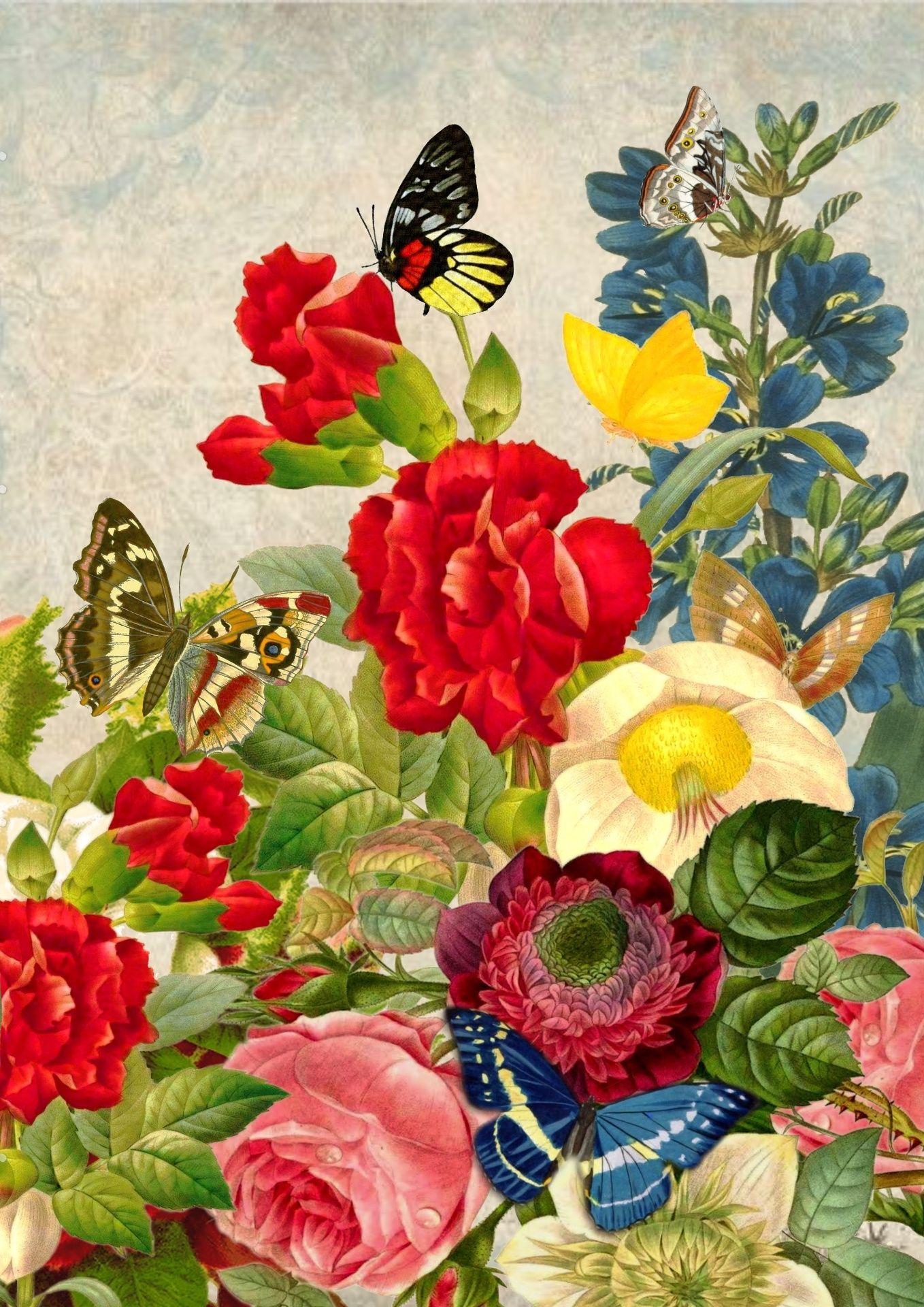 1358x1920 Butterfly Flower Collage Background Free