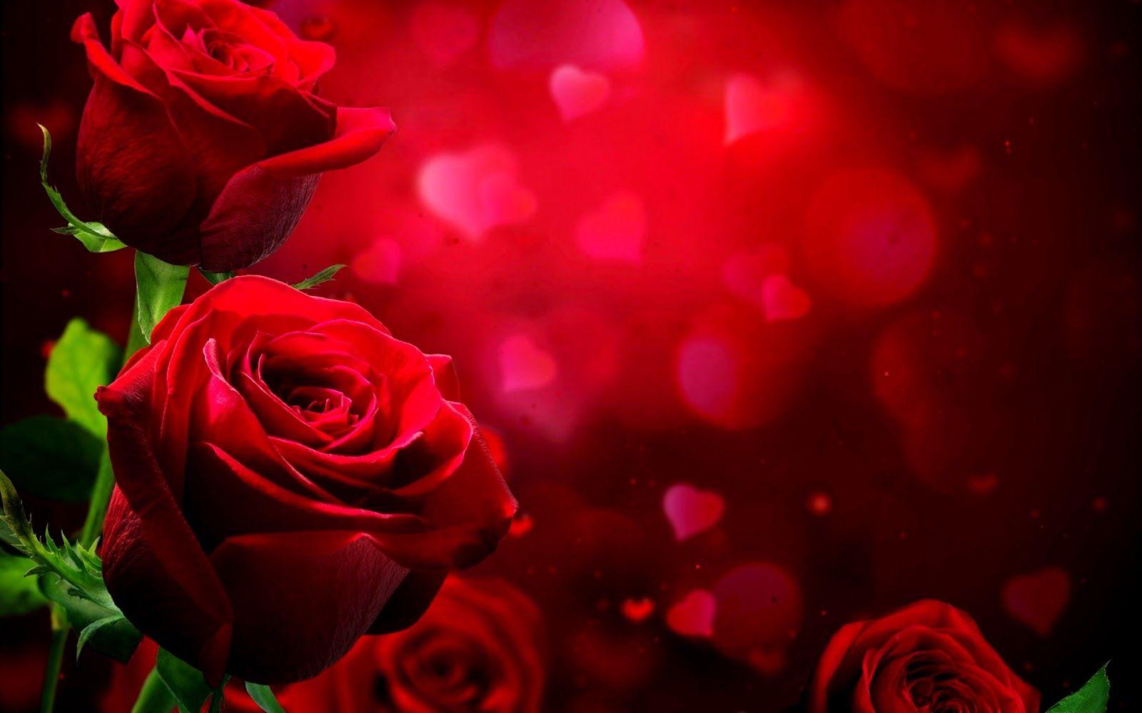 1600x1000 Love Poetry Romantic Quotes Twin Flames Soulmates Relationships