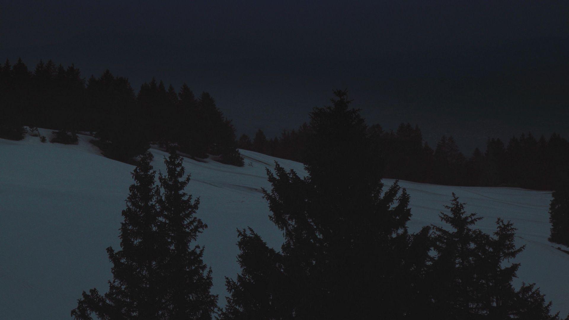 1920x1080 Download wallpaper 1920x1080 night, landscape, winter, moon, trees