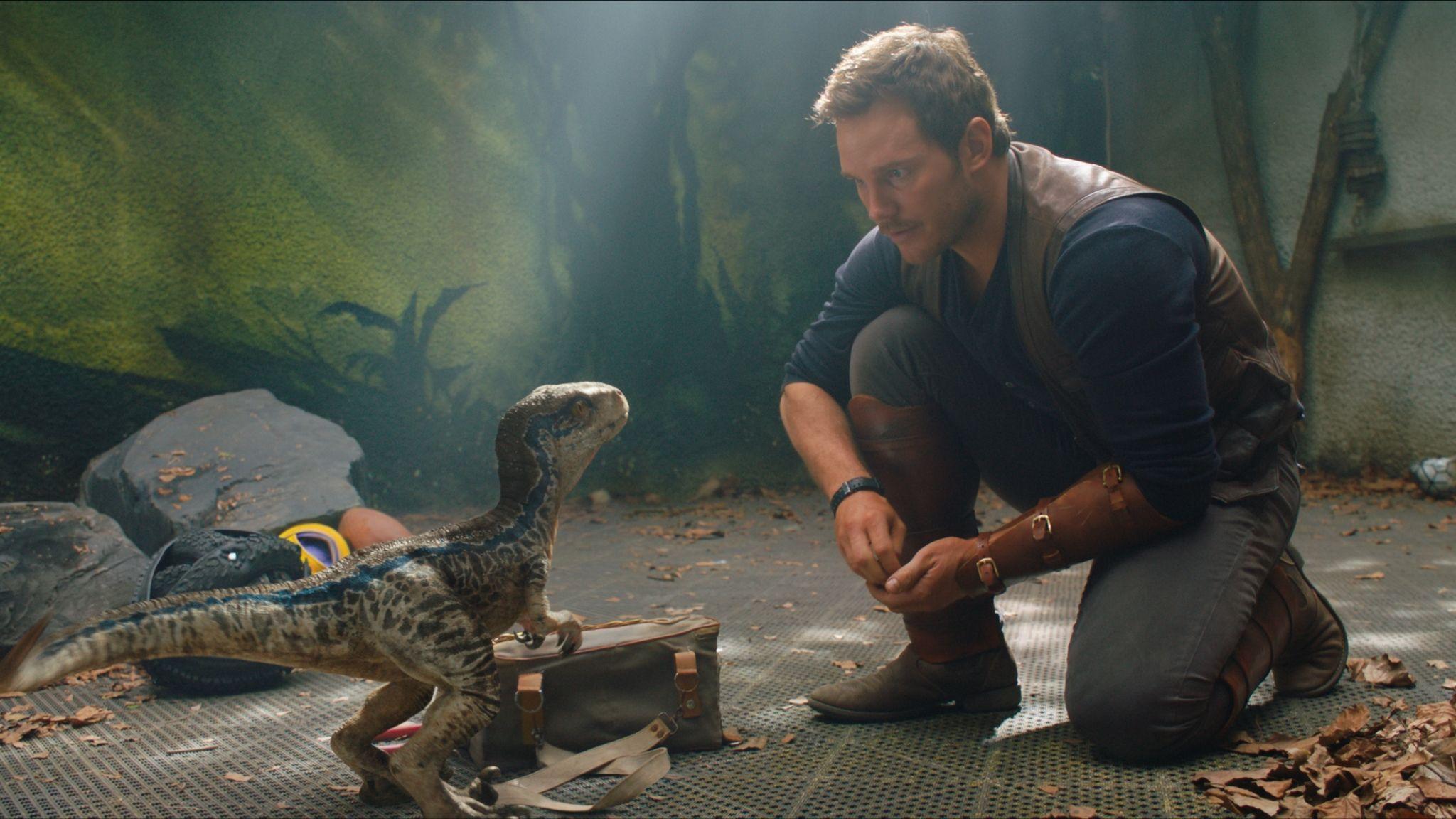 2048x1152 Jurassic World: Fallen Kingdom (2018)