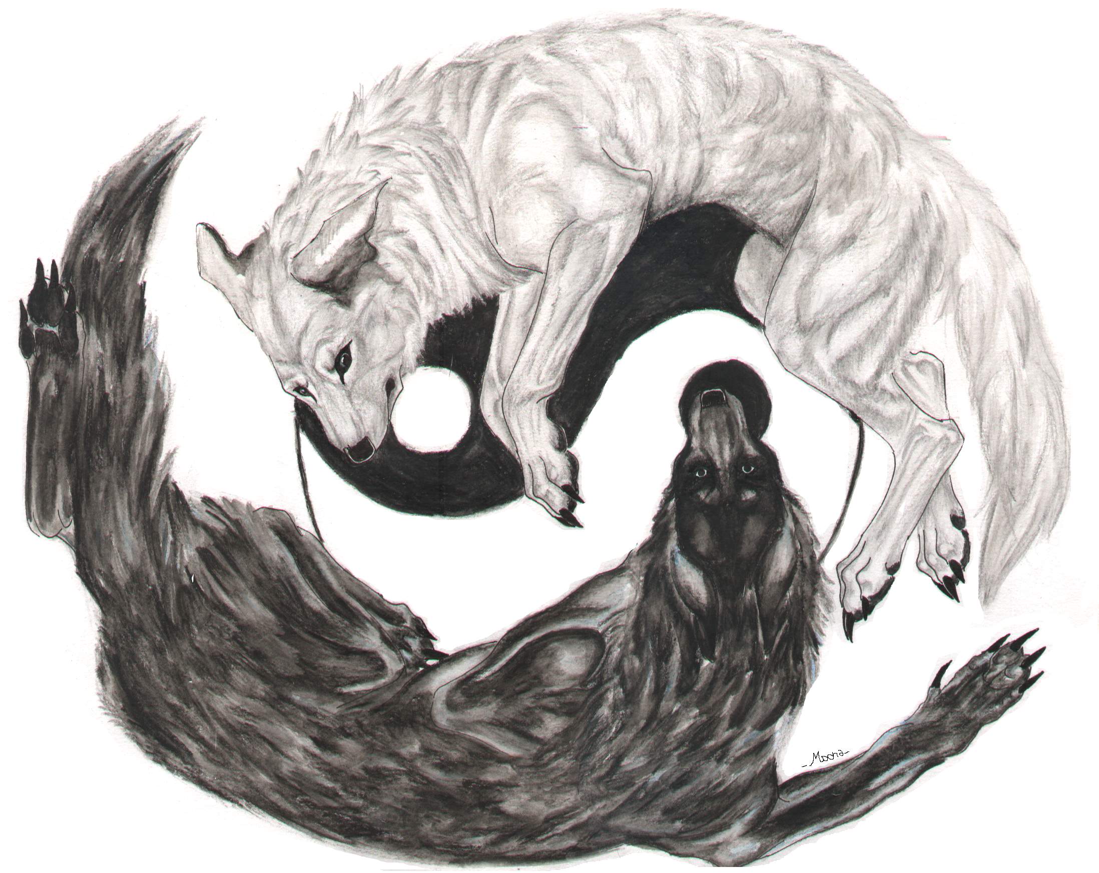 2196x1746 View topic - ♥The Elemental Wolves♥ OPEN, ACCEPTING!