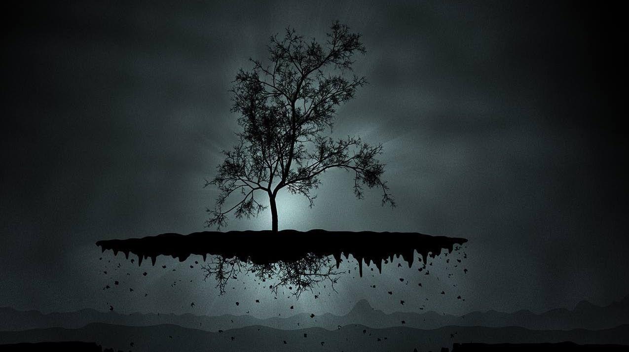 1275x714 Floating Tree With Roots