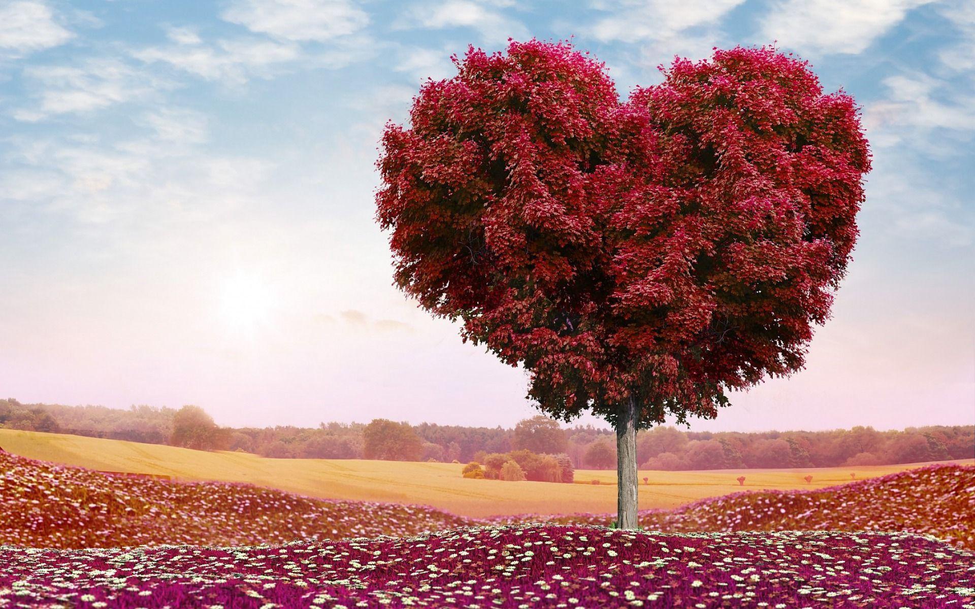 Download The Red tree, Planet, Wood, Trail, Space Wallpaper in 2560x1440  Resolution