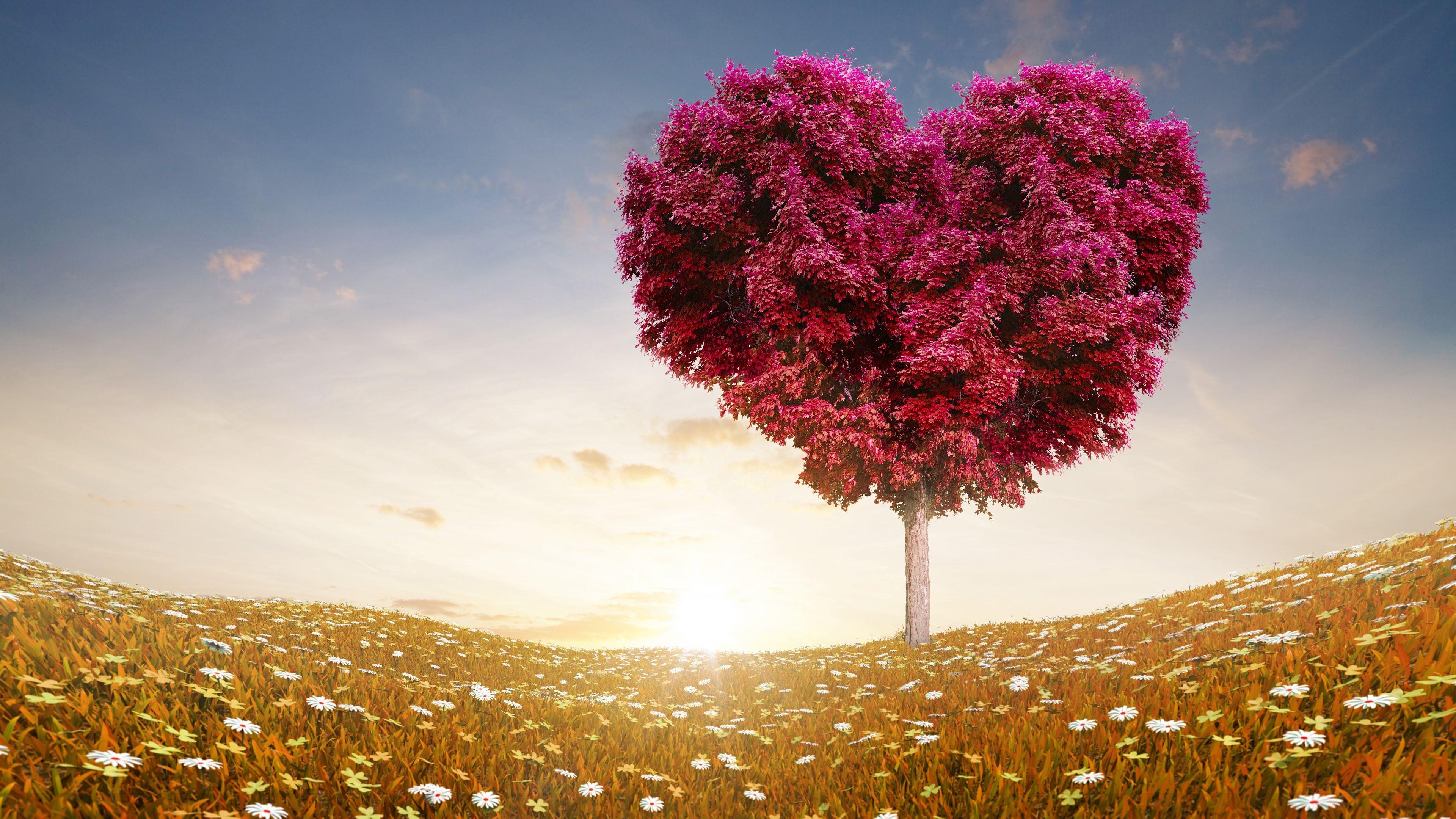 3840x2160 Love Heart Tree Wide Wallpaper 50423 3840x2160px