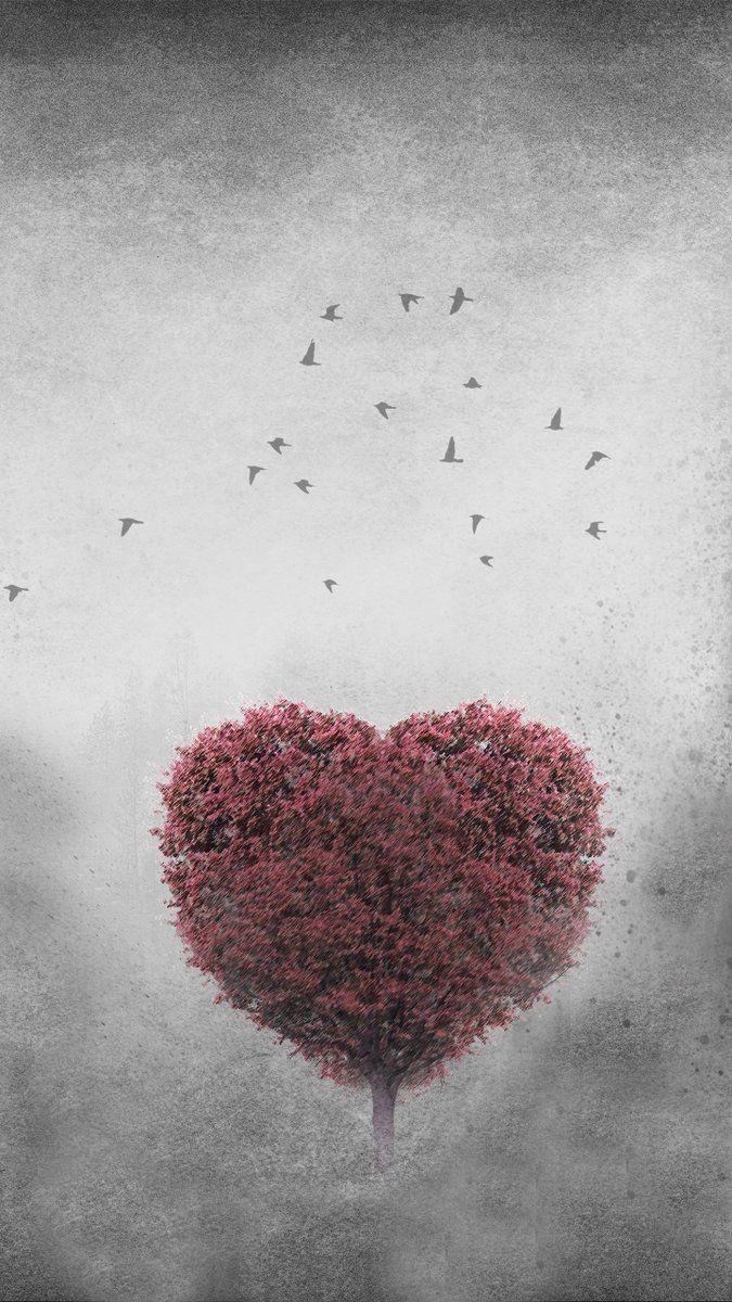 Heart Tree Wallpapers Top Free Heart Tree Backgrounds WallpaperAccess