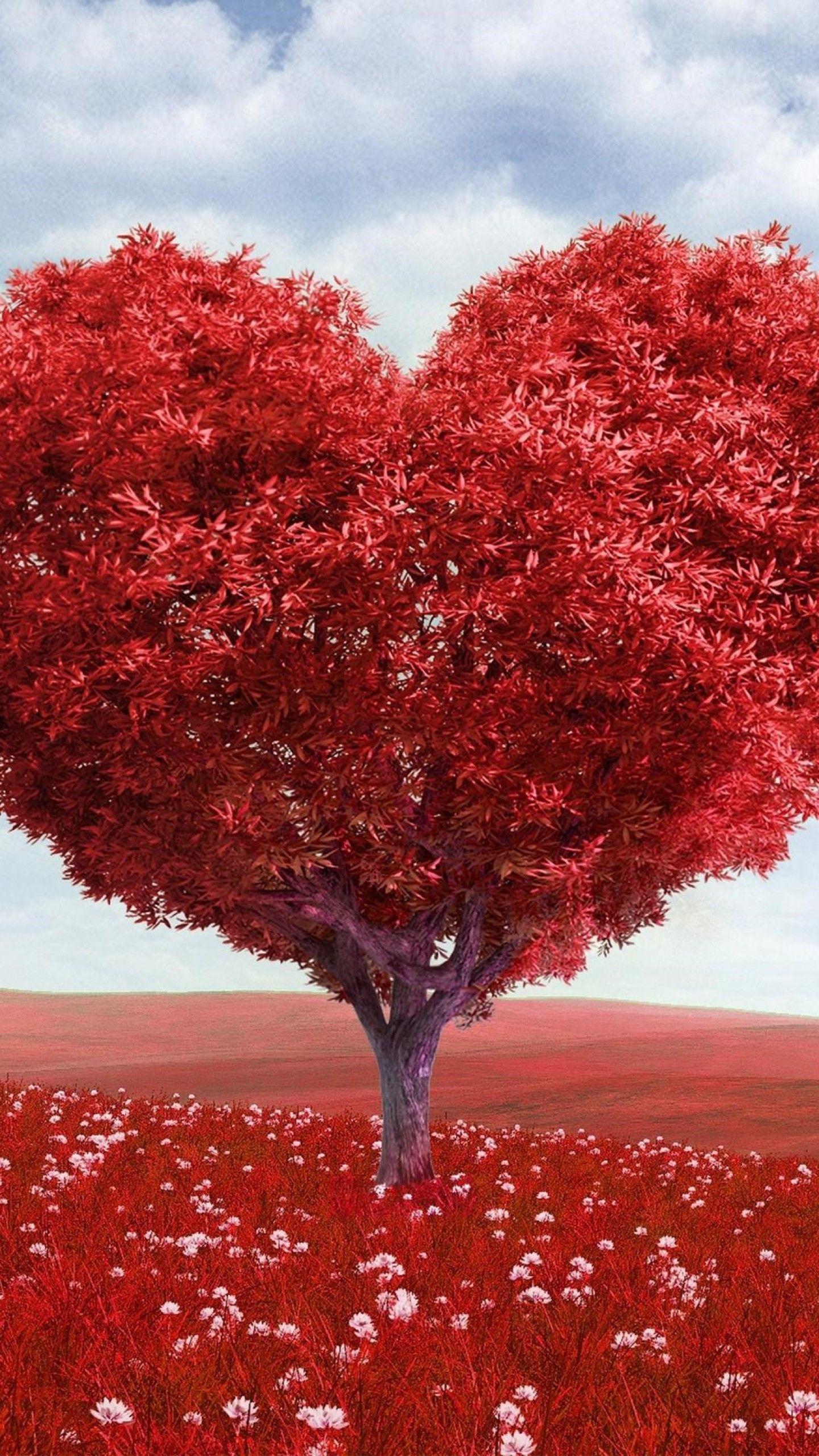 Heart Tree Wallpapers - Top Free Heart Tree Backgrounds - WallpaperAccess