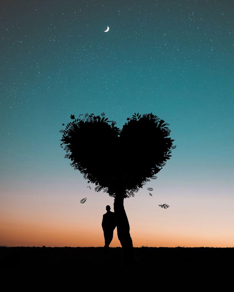 819x1024 Moon, Star, Heart, Tree, Man, Dark, Wallpaper Free HD Wallpaper GoldPoster