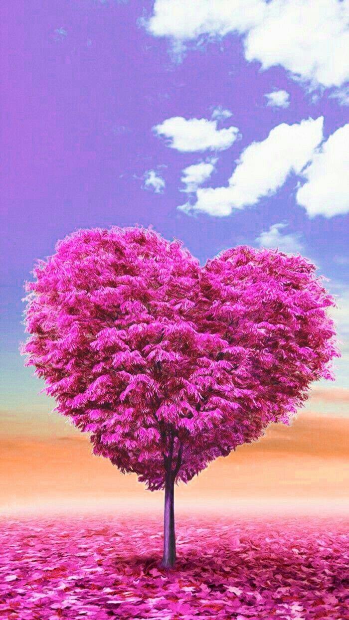 Heart Tree Wallpapers Top Free Heart Tree Backgrounds WallpaperAccess