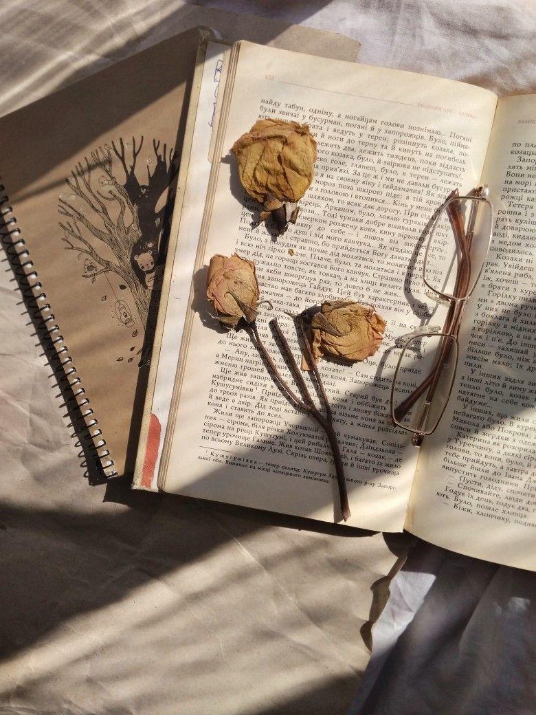 780x1040 Aesthetic Book Wallpaper