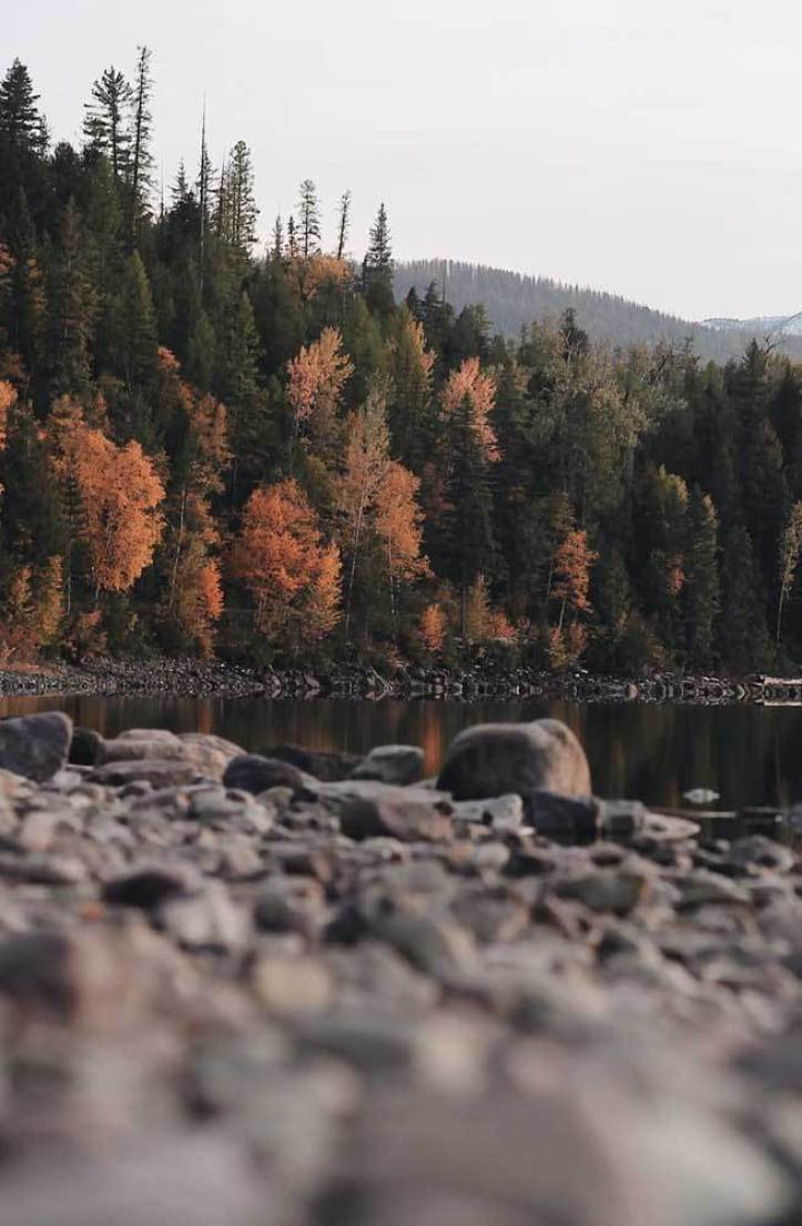 723x1105 Autumn aesthetic landscape Wallpaper