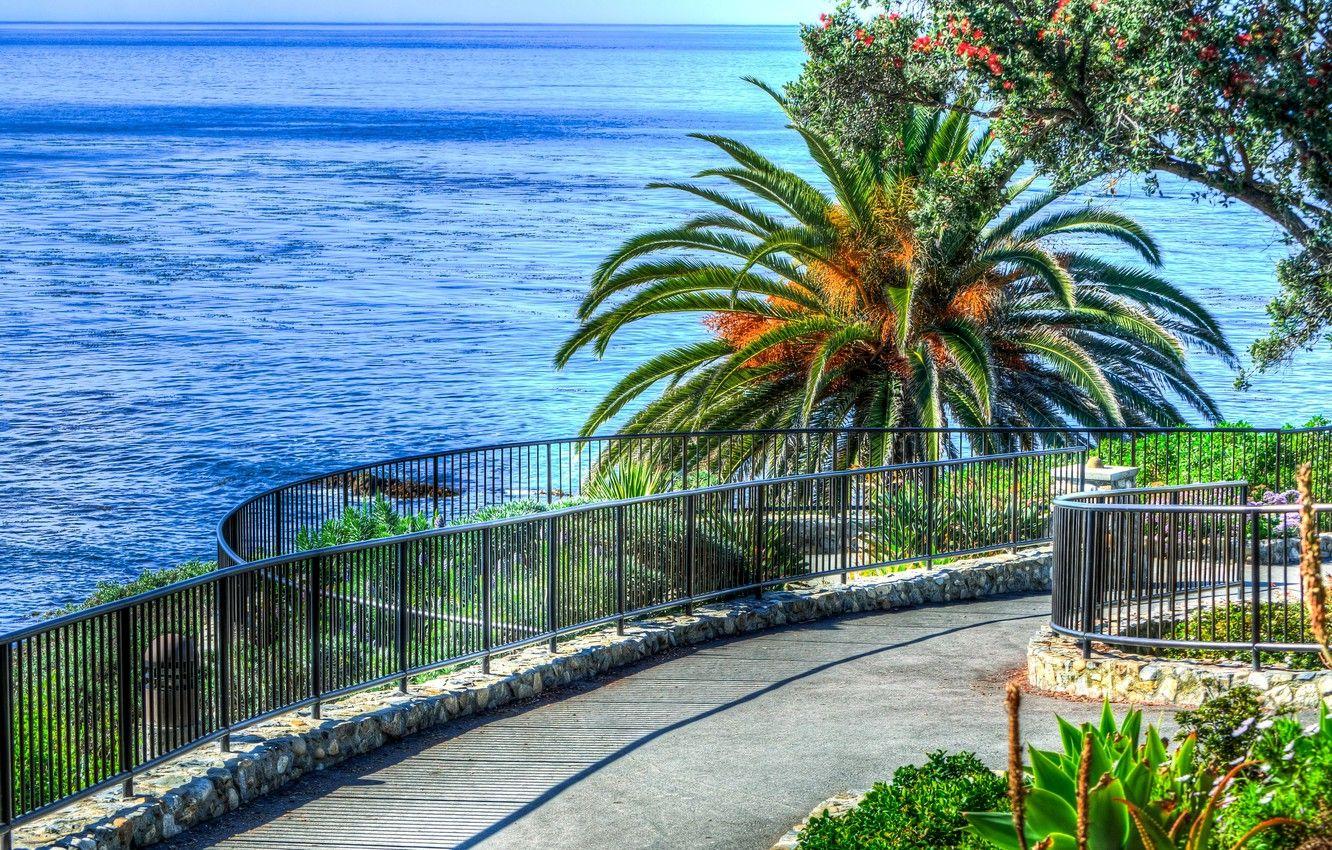 1332x850 Wallpaper sea, palm trees, the descent, horizon, track, railings
