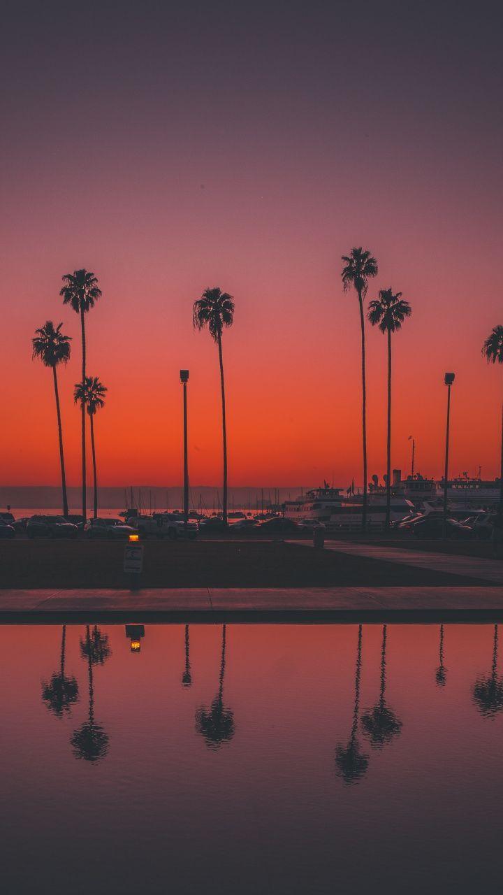 720x1280 Palms, trees, sunset, San Diego, 720x1280 wallpaper. Sky