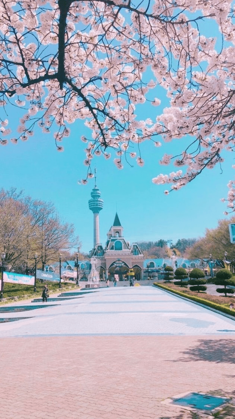 750x1334 Wallpaper- Koreans- Kdramas. Pemandangan, Wisata jepang, Fotografi pemandangan