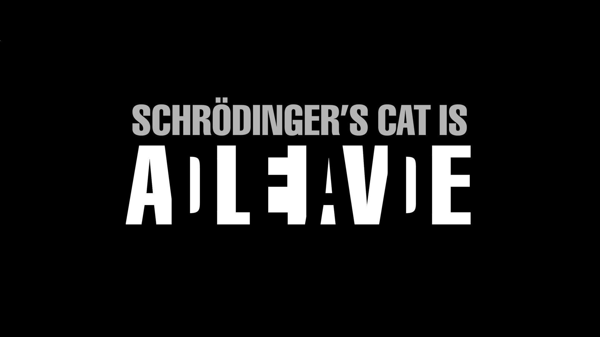 1920x1080 #minimalism, #text, #Schrodinger, #Schrodinger Cat