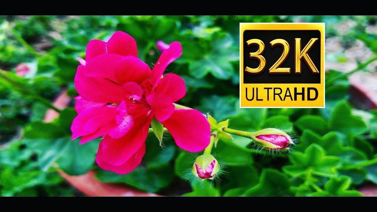 1280x720 New 8k Ultra HD