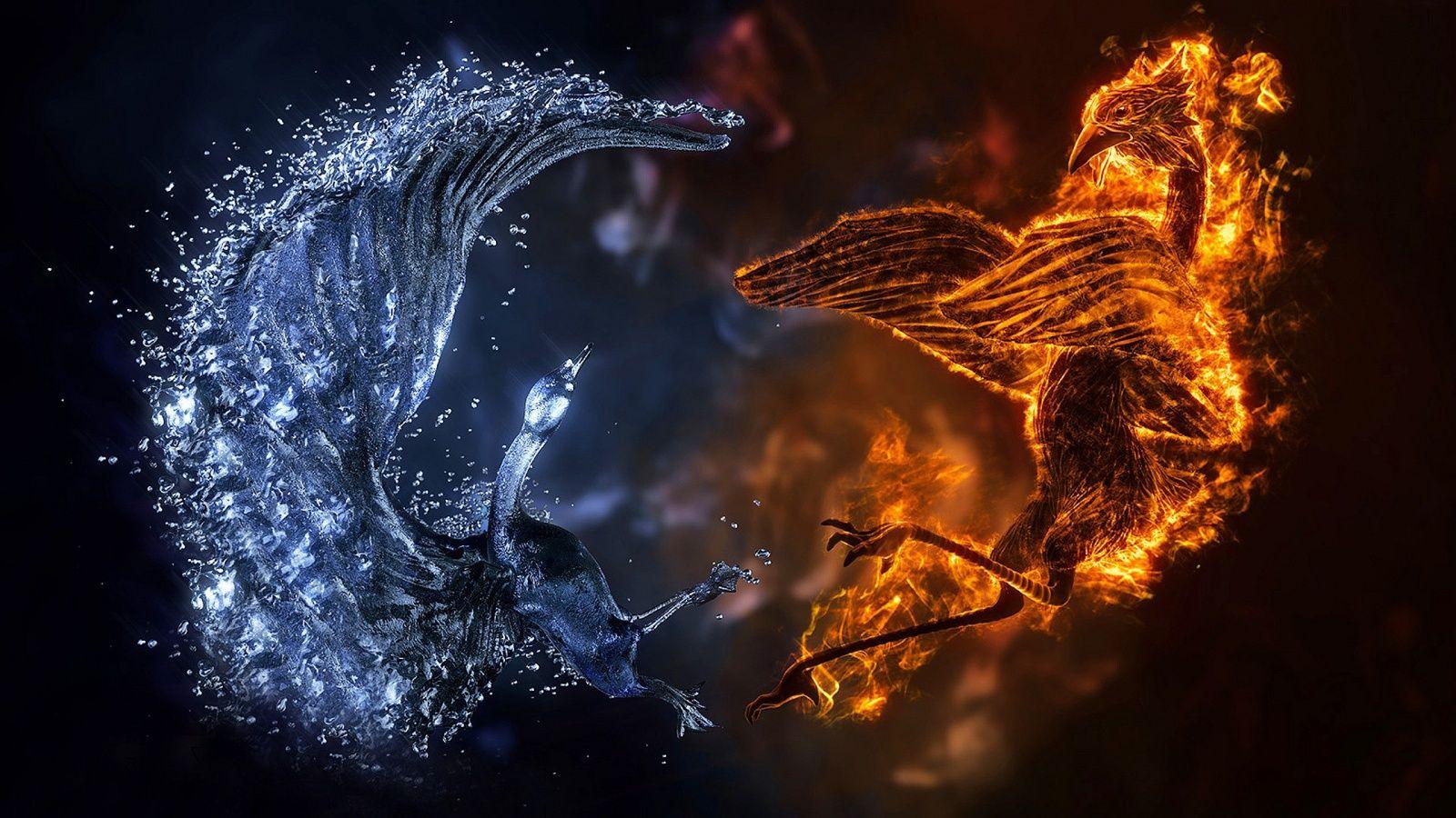 1600x900 Wallpaper