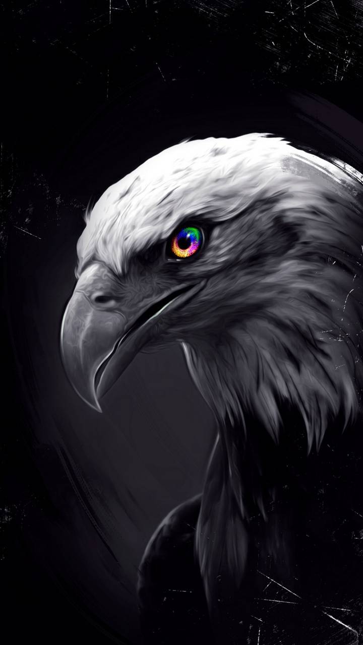 eyes of the eagle