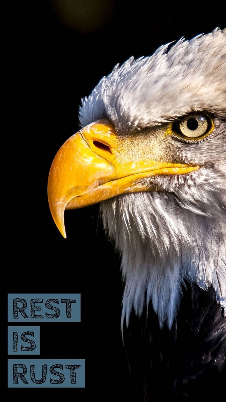 Eagle Eye HD Wallpapers - Top Free Eagle Eye HD Backgrounds