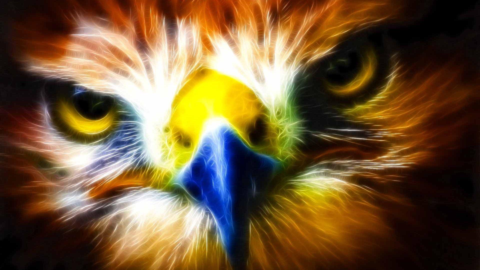 Eagle Eye Wallpapers - Top Free Eagle Eye Backgrounds - WallpaperAccess