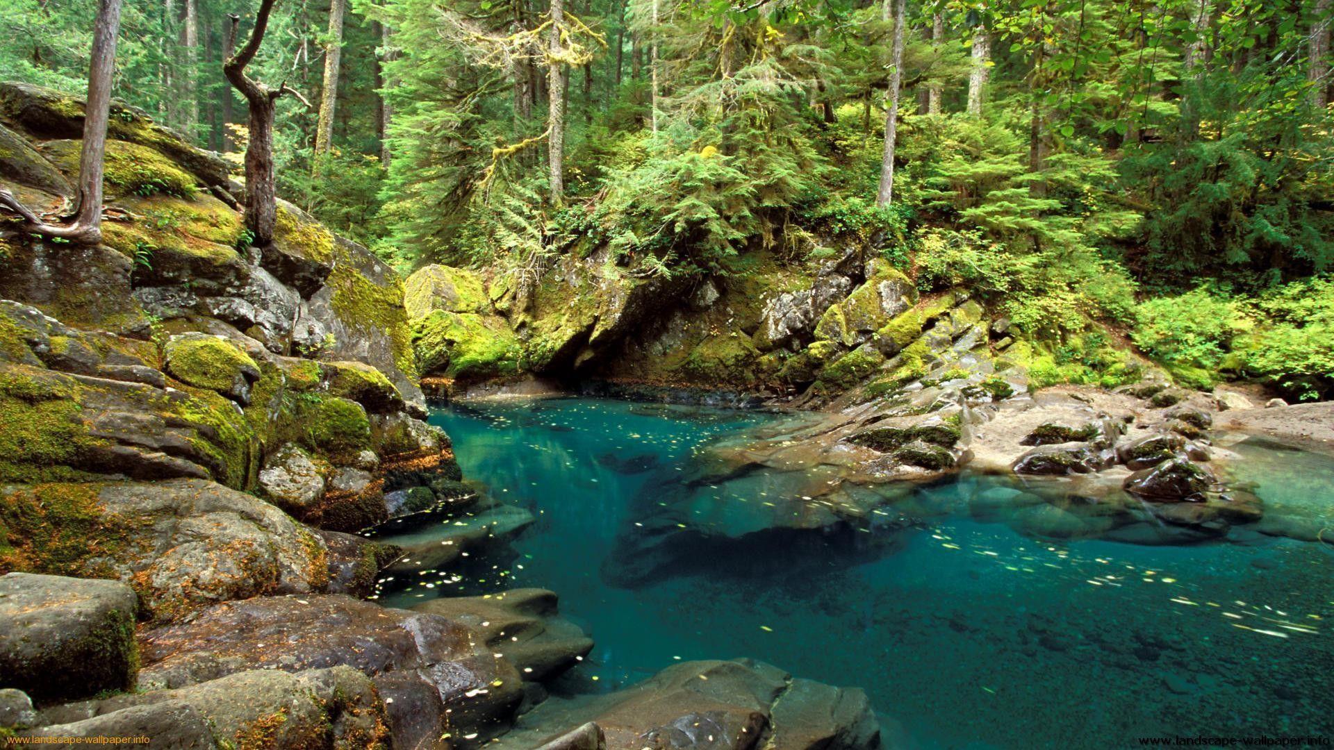 1920x1080 Nature Wallpaper 1600x900