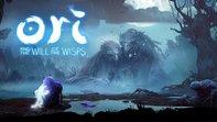 3840x2160 Ori and the Will of the Wisps 4K 8K HD Wallpaper
