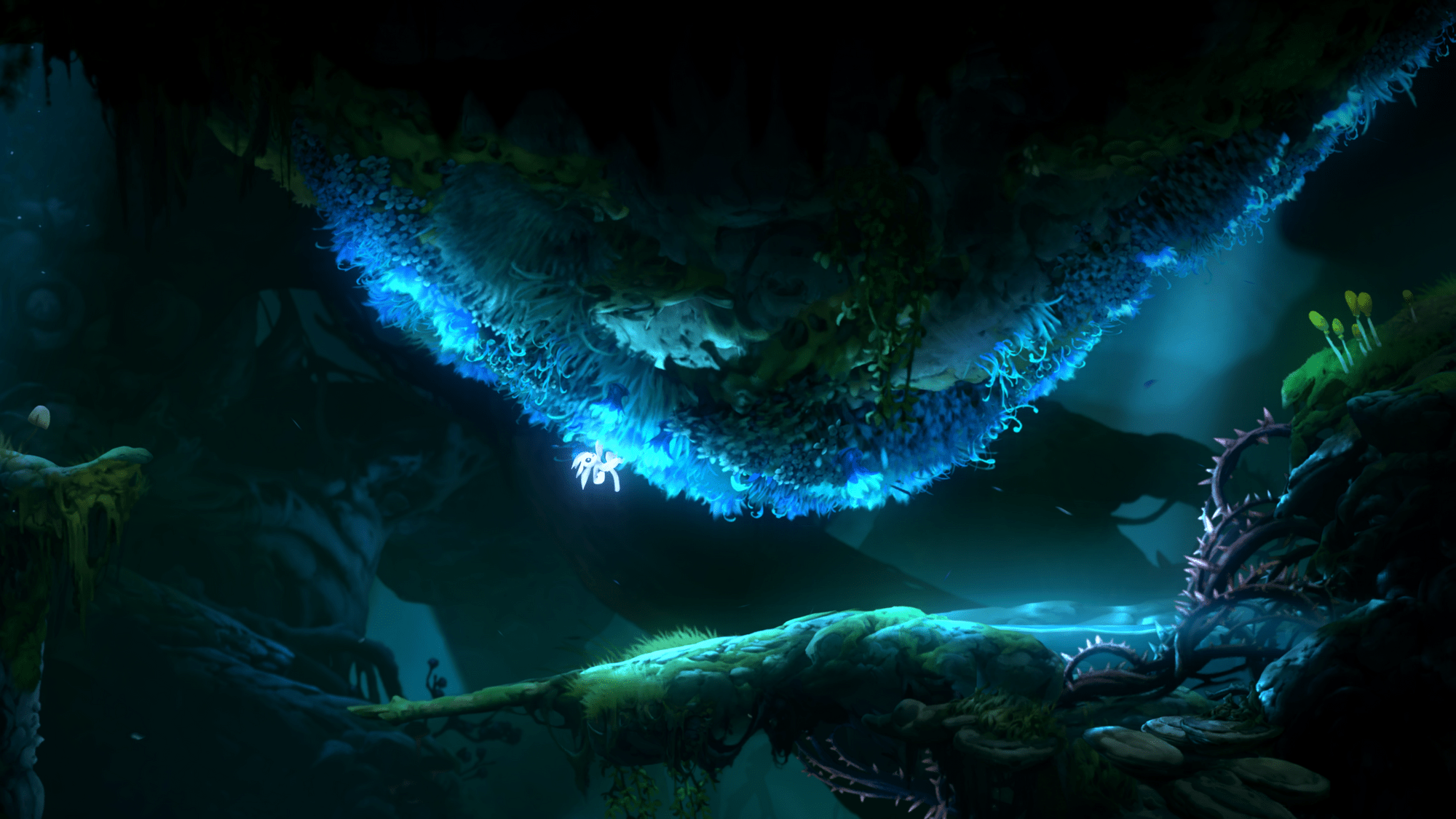 2000x1125 Ori and the Will of the Wisps 4K Wallpaper