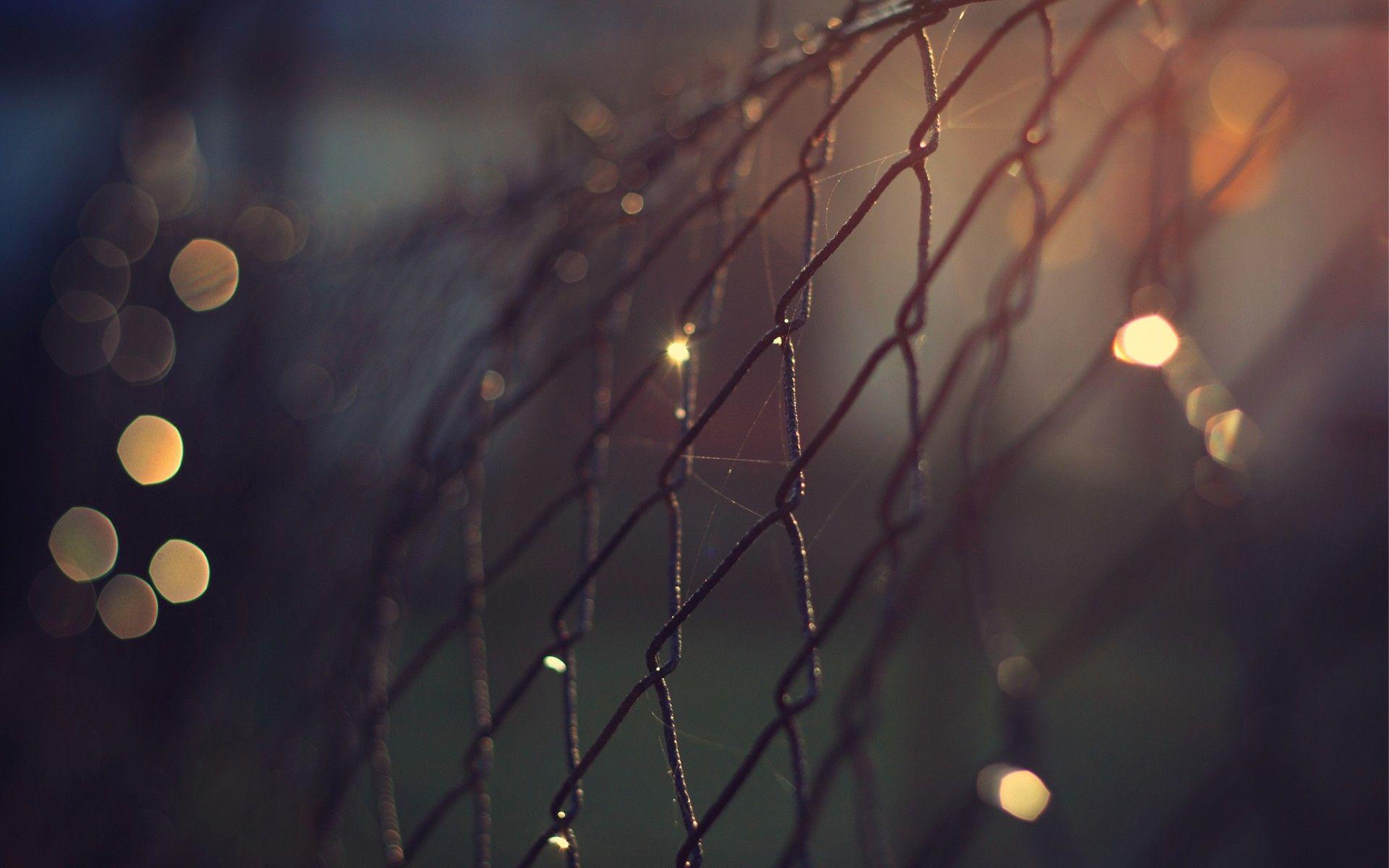 1920x1200 Steel Cage Focus Bokeh Wallpaper