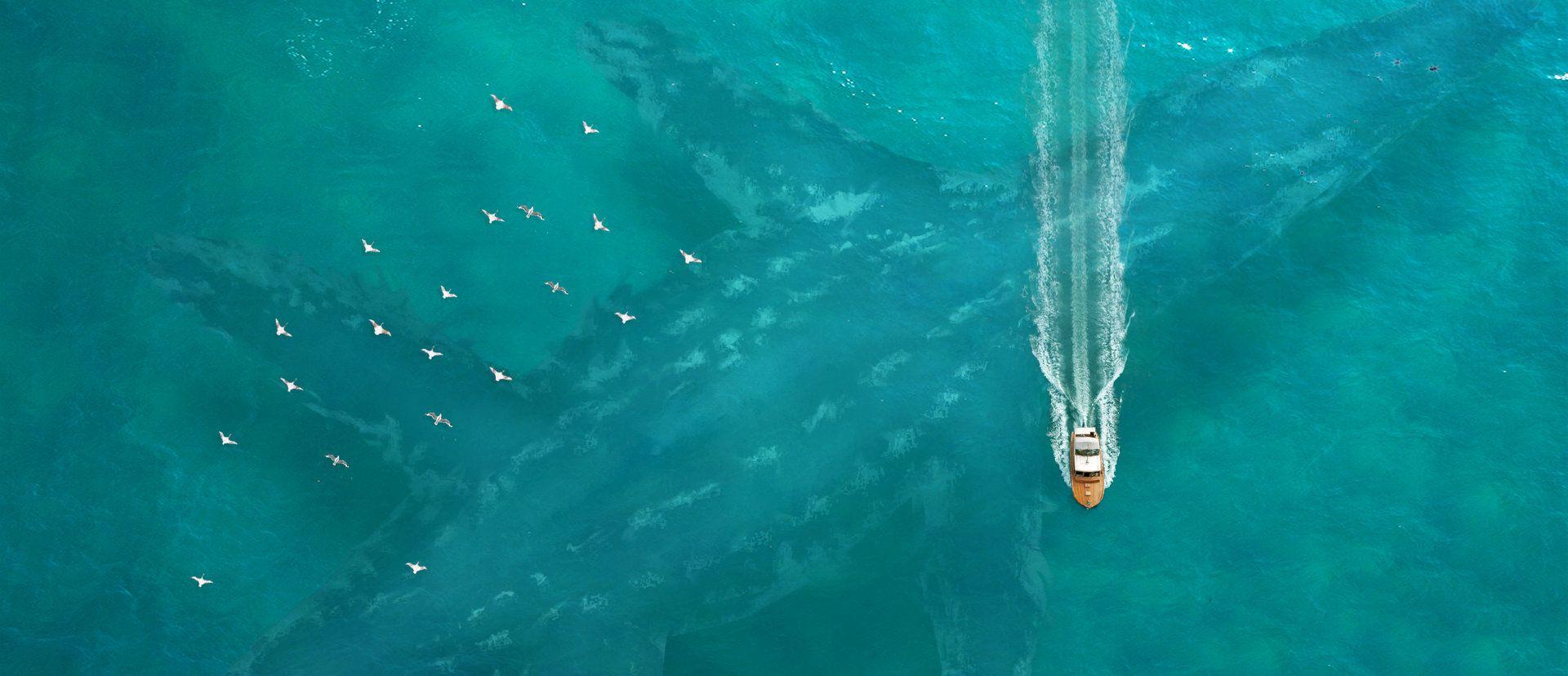 1920x828 Thalassophobia