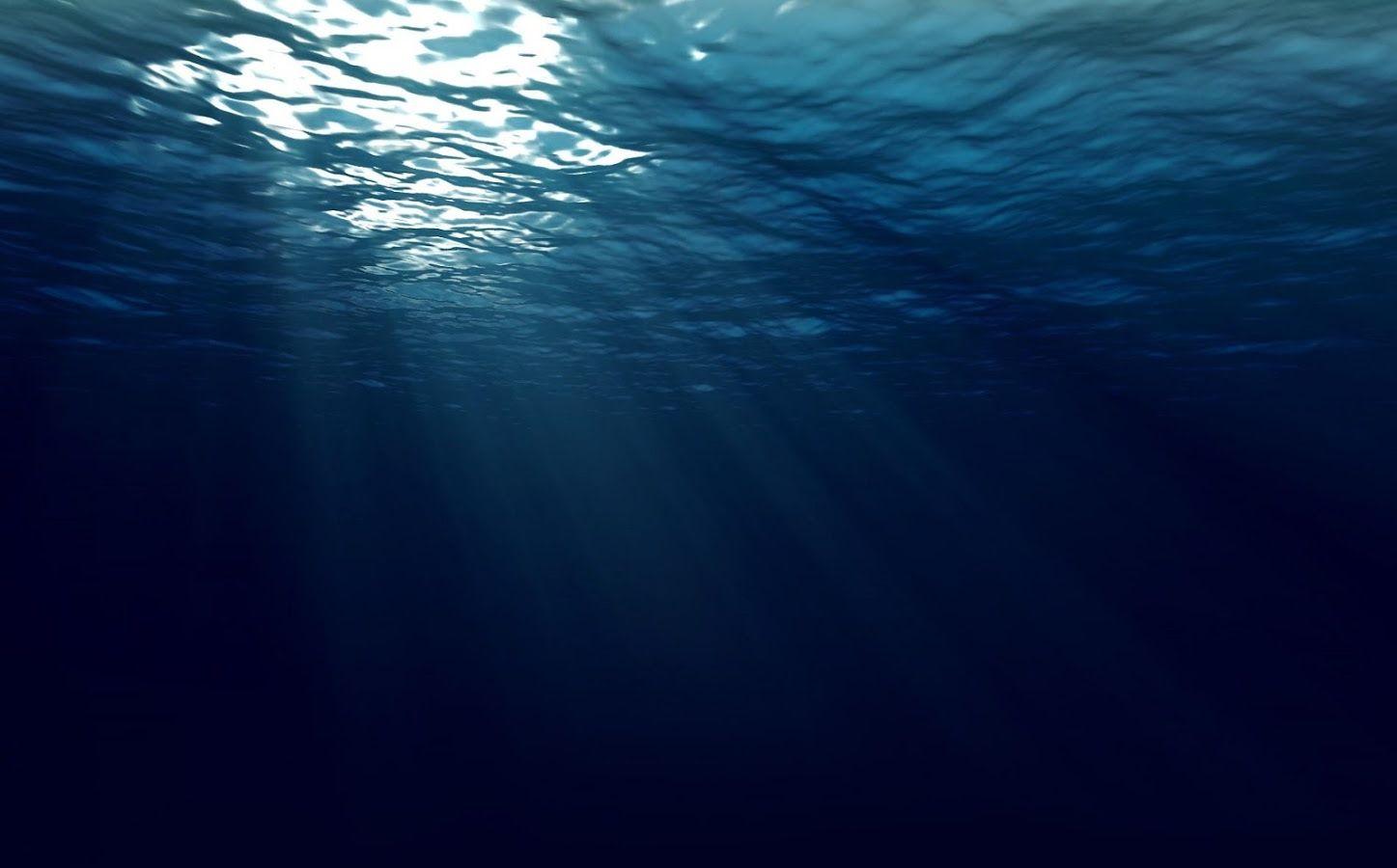 1447x900 Thalassophobia Is A Fear You Probably Have Without Even Knowing It