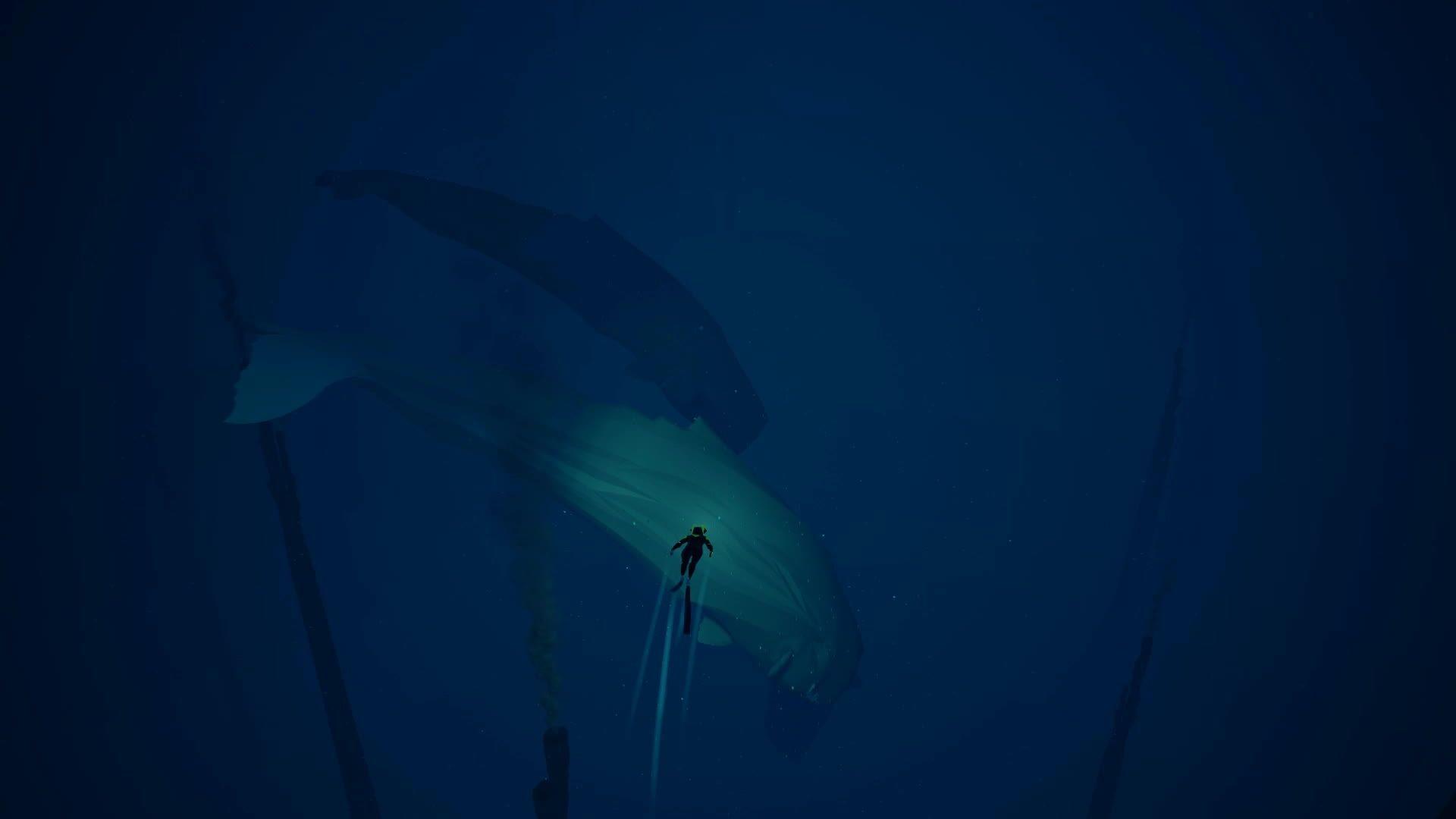 1920x1080 GIF