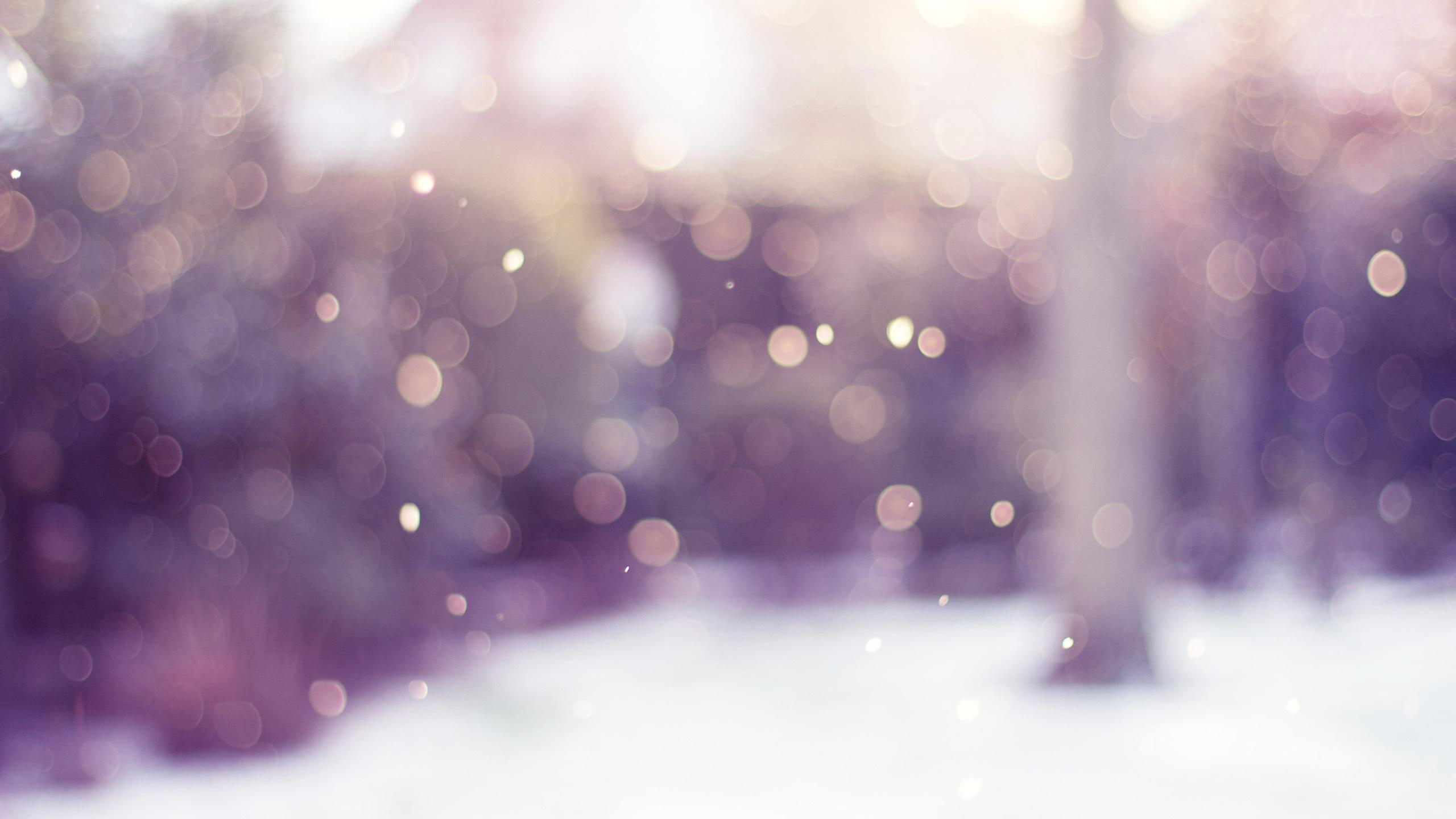 2560x1440 Snowy Bokeh Wallpaper 23998 2560x1440 px