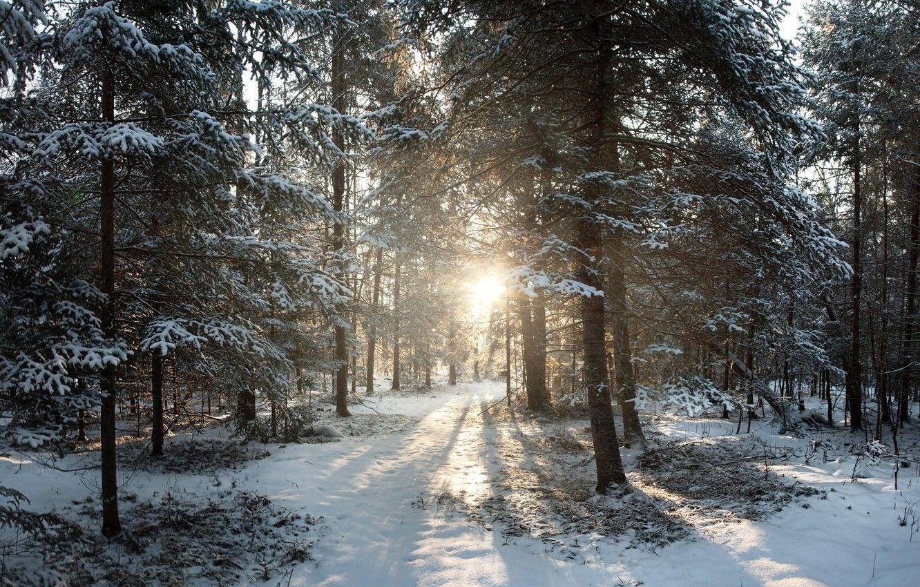1332x850 Wallpaper winter, snow, sunrise, Wisconsin, United States, winter