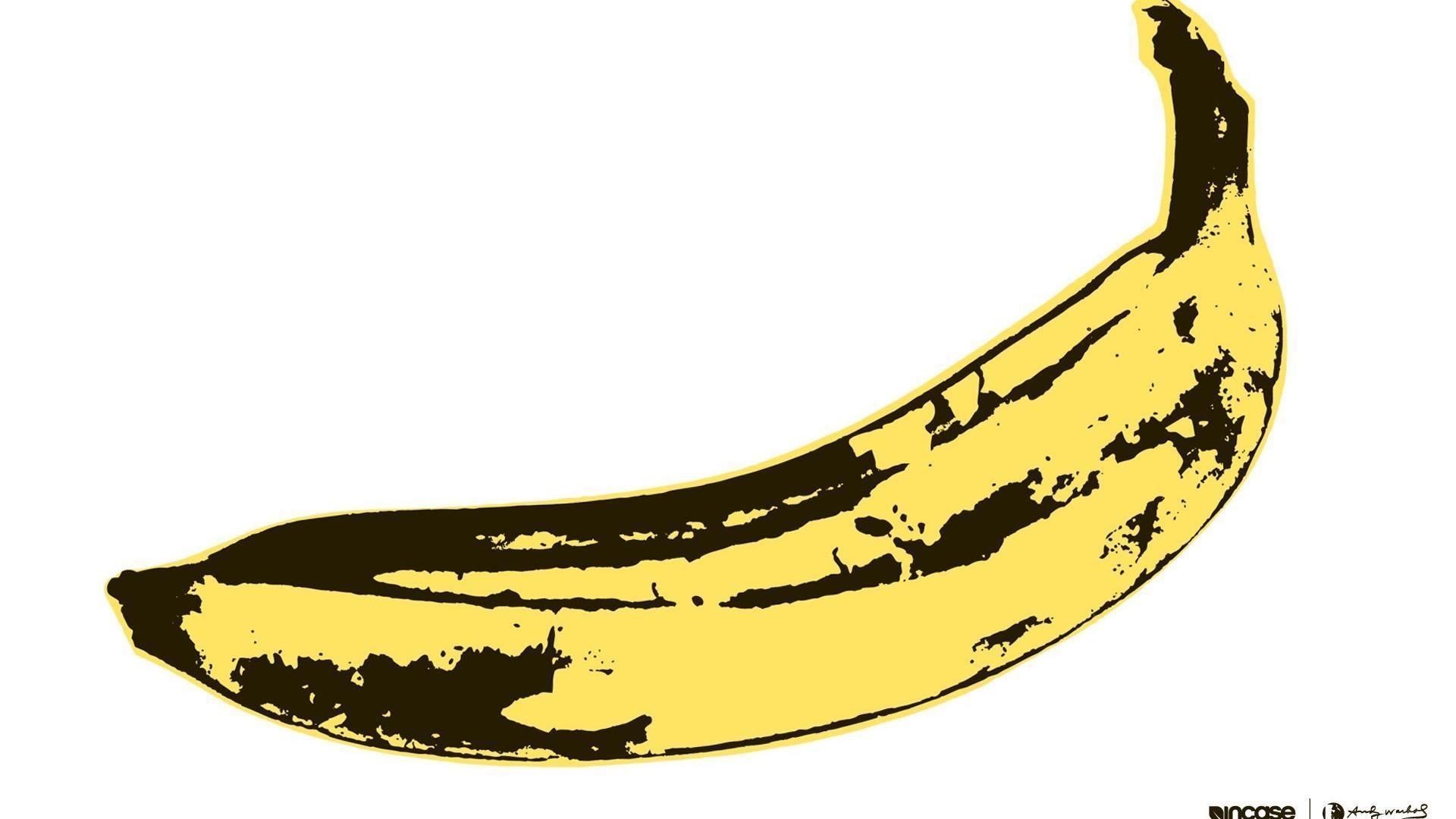 The Velvet Underground Wallpapers Top Free The Velvet Underground