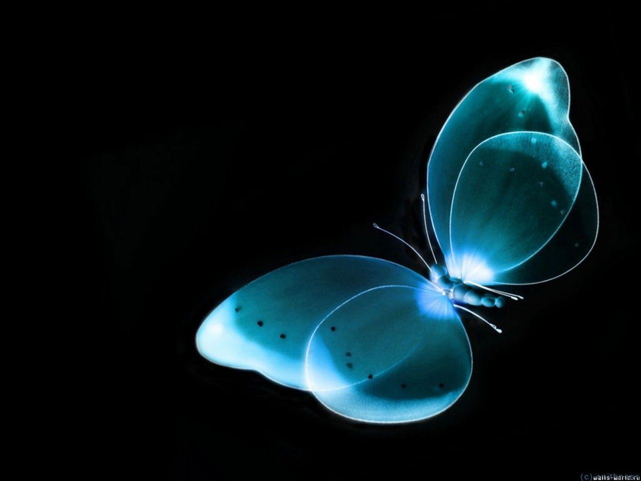 1280x960 Visual Effect Blue Butterfly Definition, High Resolution HD Wallpaper : High Definition, High Resolution HD Wallpaper