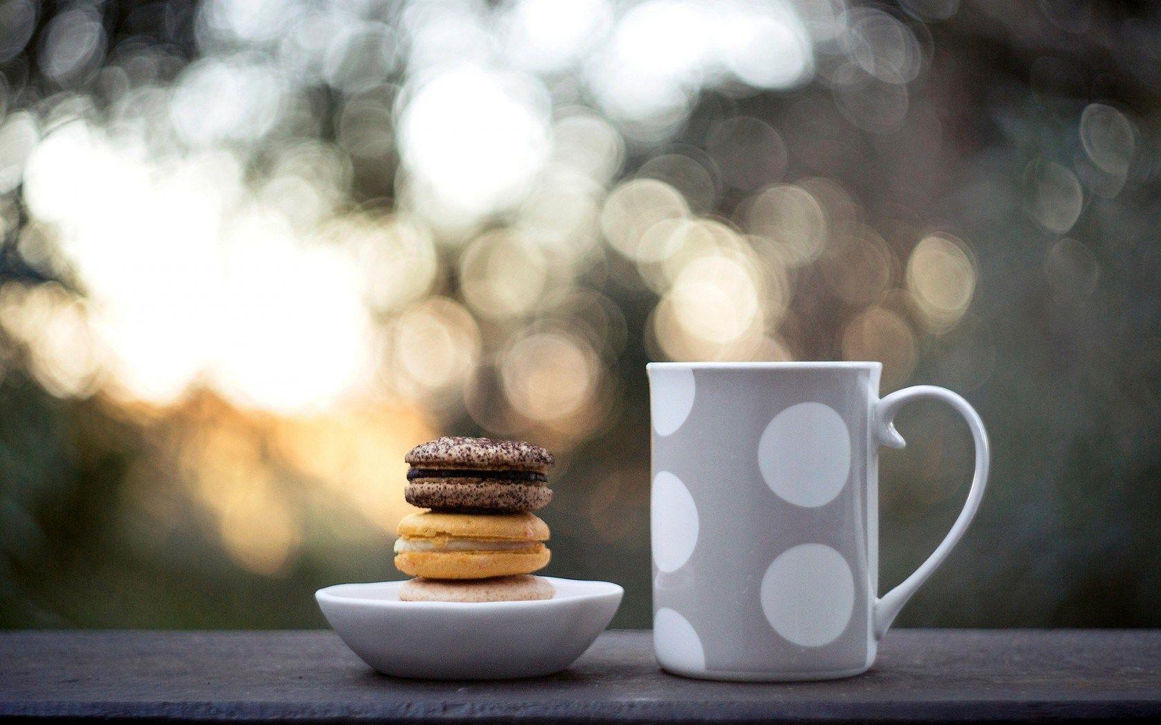 1680x1050 Tea Cup Wallpaper 42219 1680x1050px